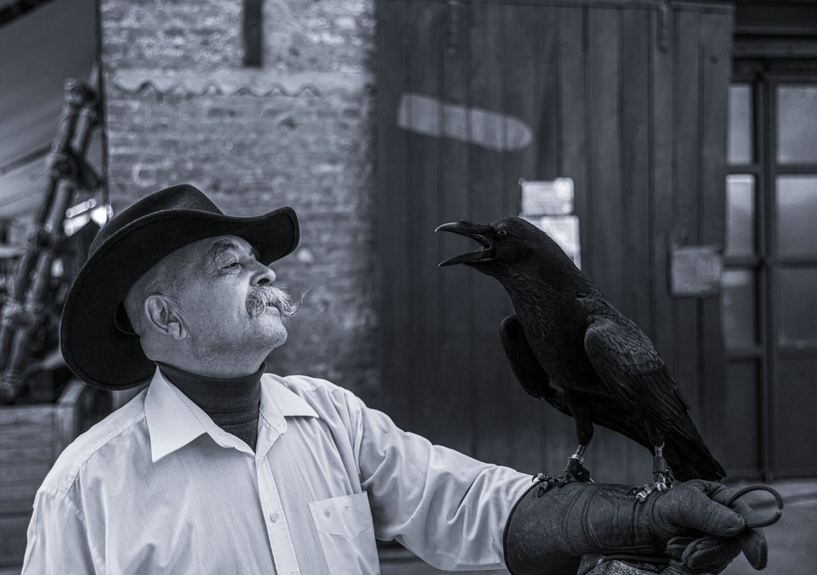 Canon EF 24-70mm F2.8L II USM sample photo. Raven, bird, crow photography