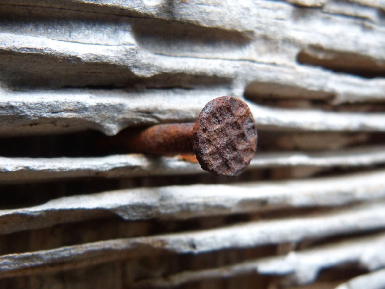 Panasonic DMC-FZ62 sample photo. Nail, iron, wood photography