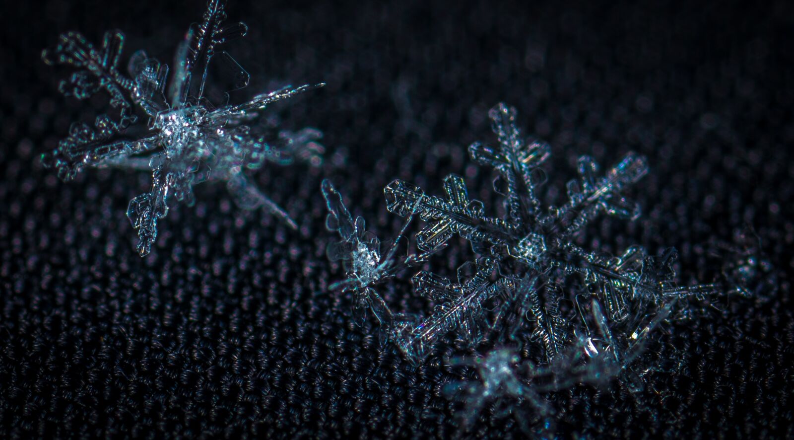 #124 65/2.8 sample photo. Snow, macro, snowflake photography