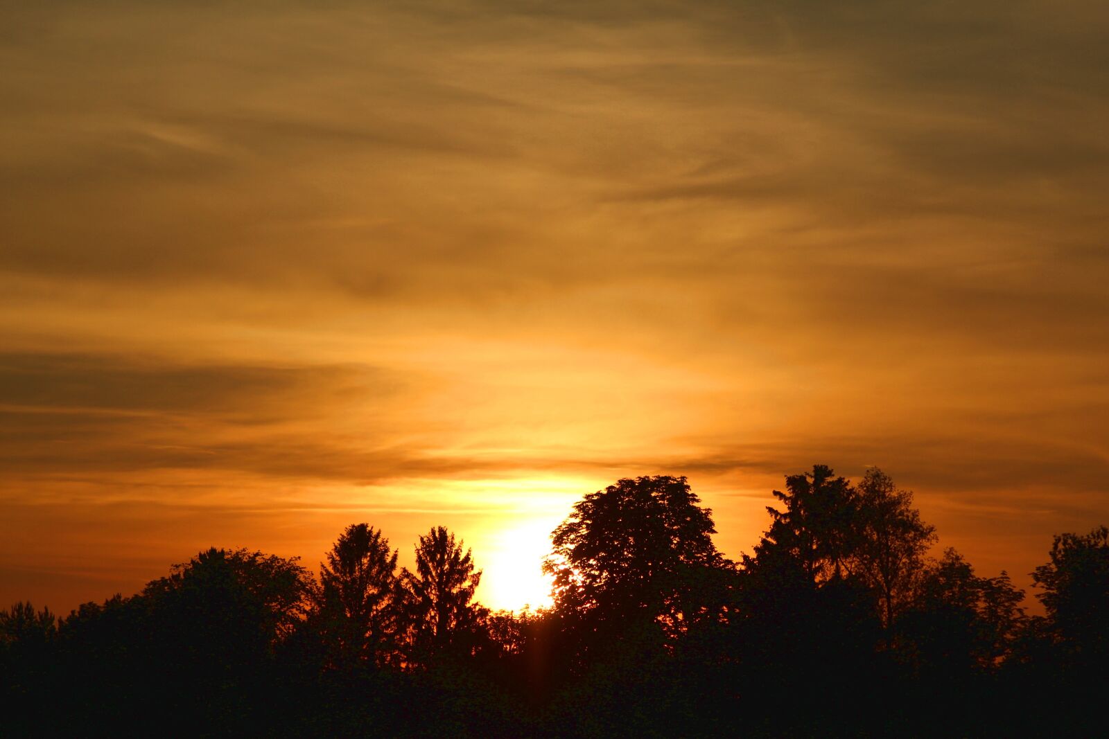 Canon EOS 1300D (EOS Rebel T6 / EOS Kiss X80) sample photo. Sunset, darkness, mysterious photography