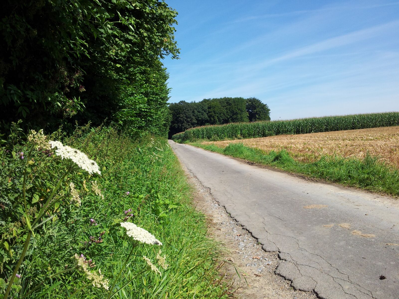 Samsung Galaxy S2 sample photo. Landscape, edge of the photography