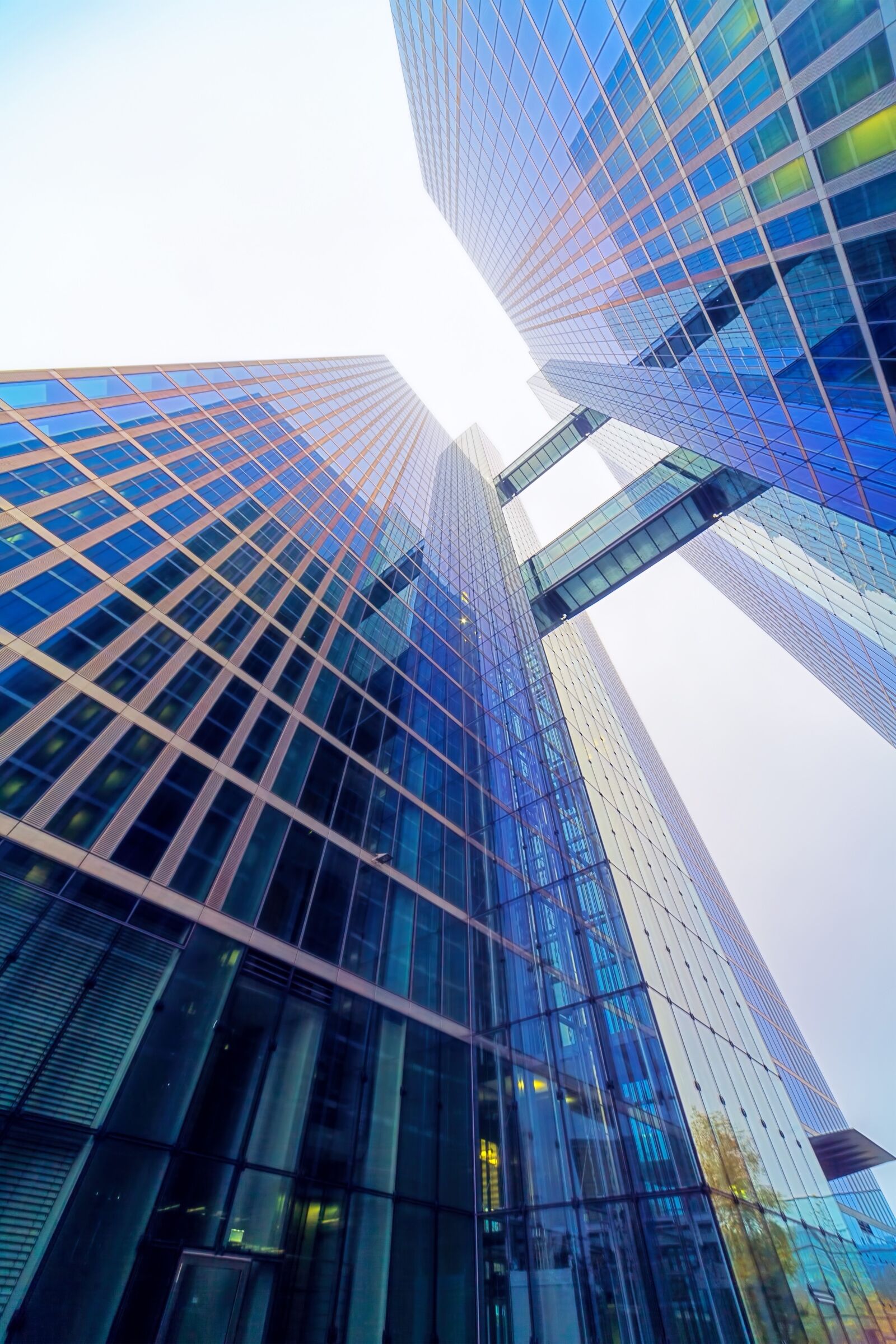Canon EOS 5D sample photo. Office, glass, architecture photography