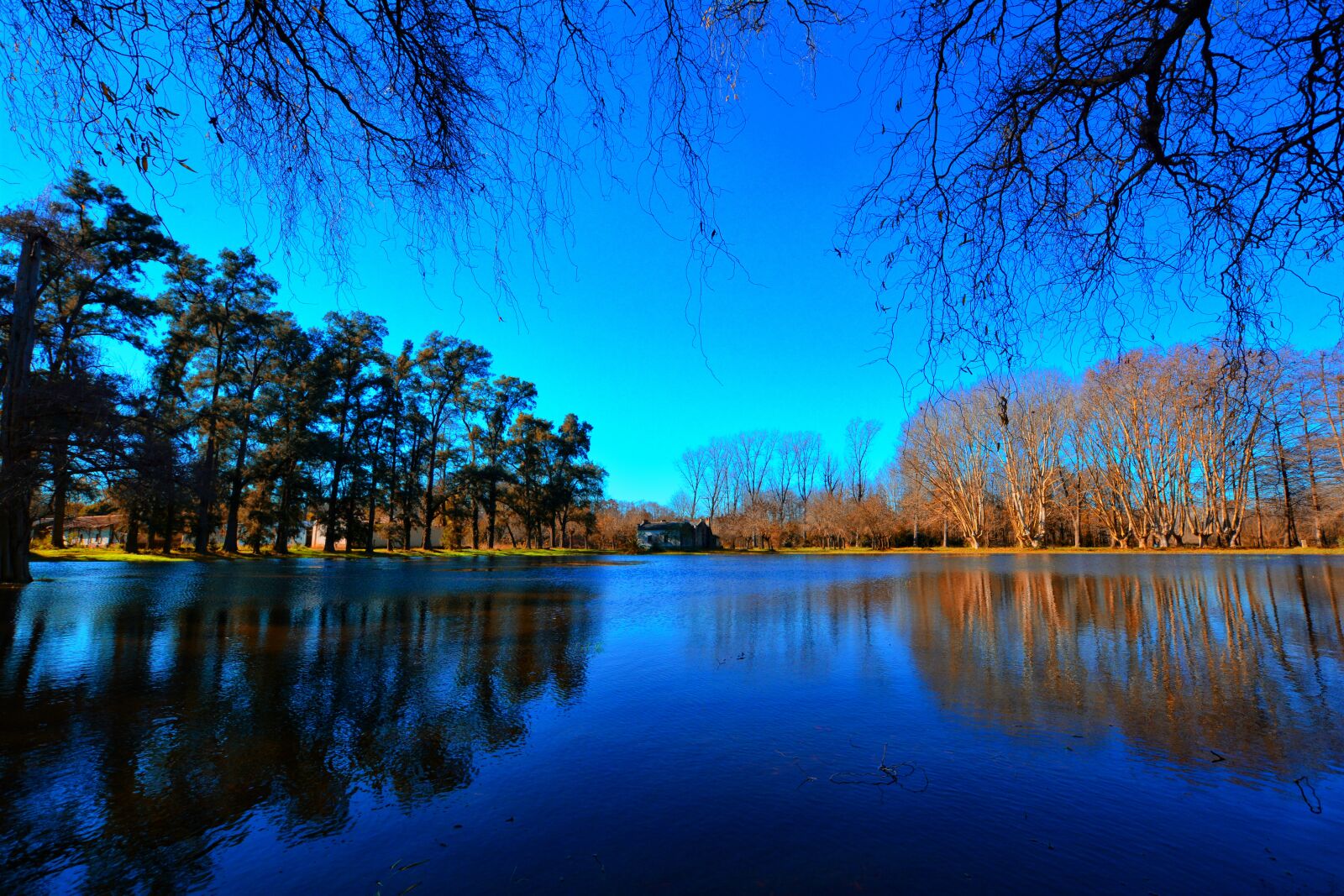 Nikon D7100 sample photo. Forest, water, landscape photography