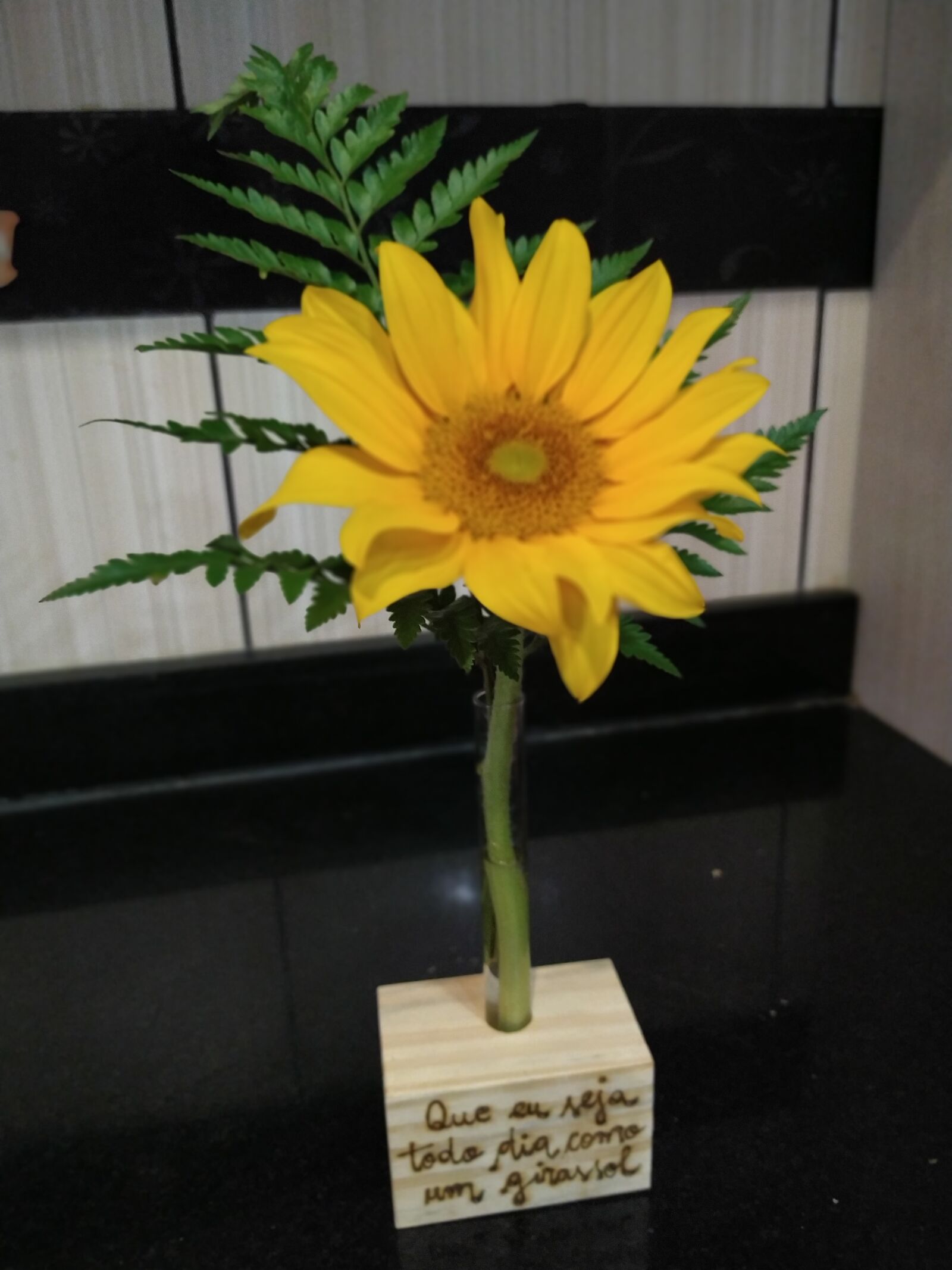 Xiaomi Redmi Note 7 sample photo. Sunflower, flower, nature photography