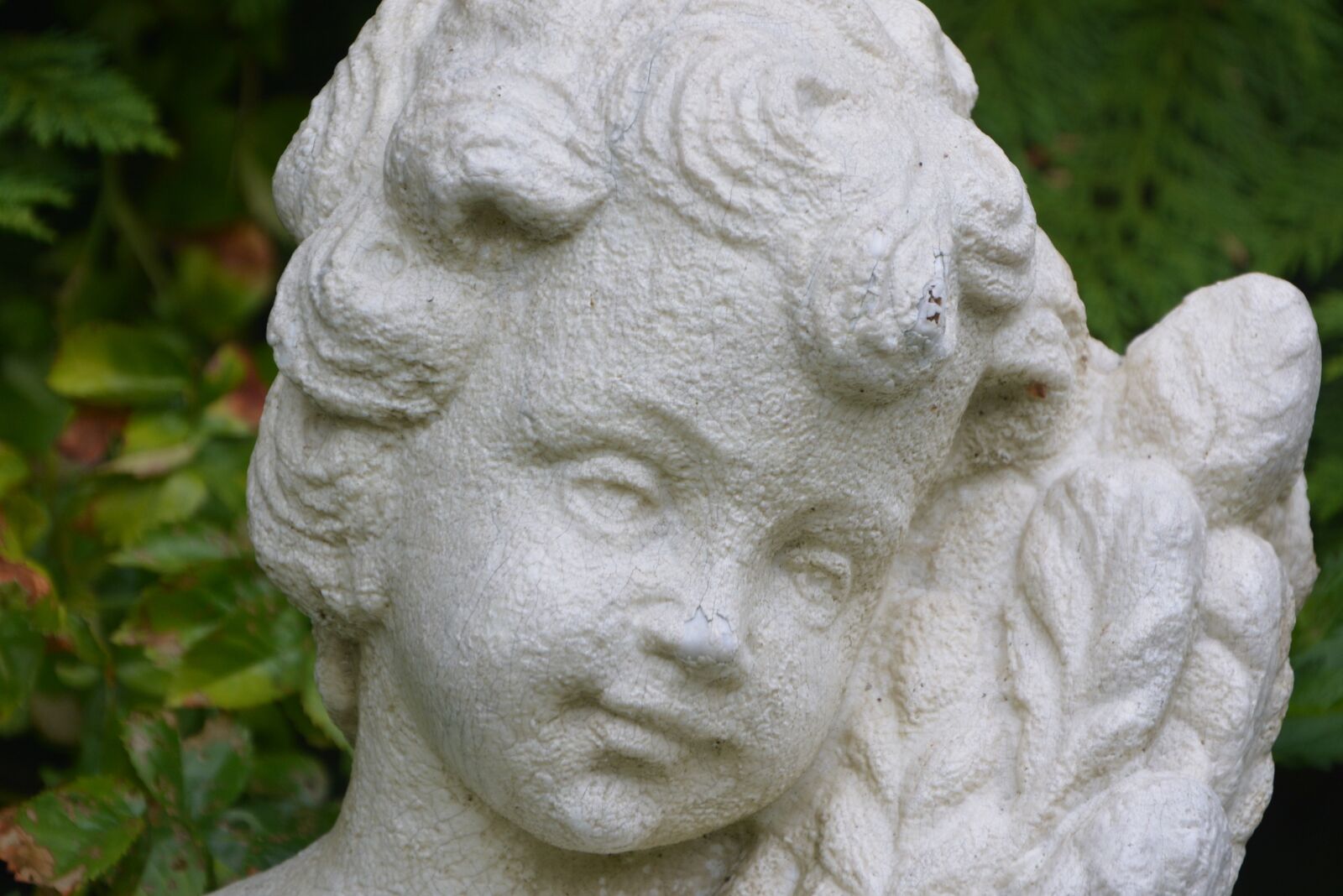 Nikon D5200 sample photo. Angel, head, child photography