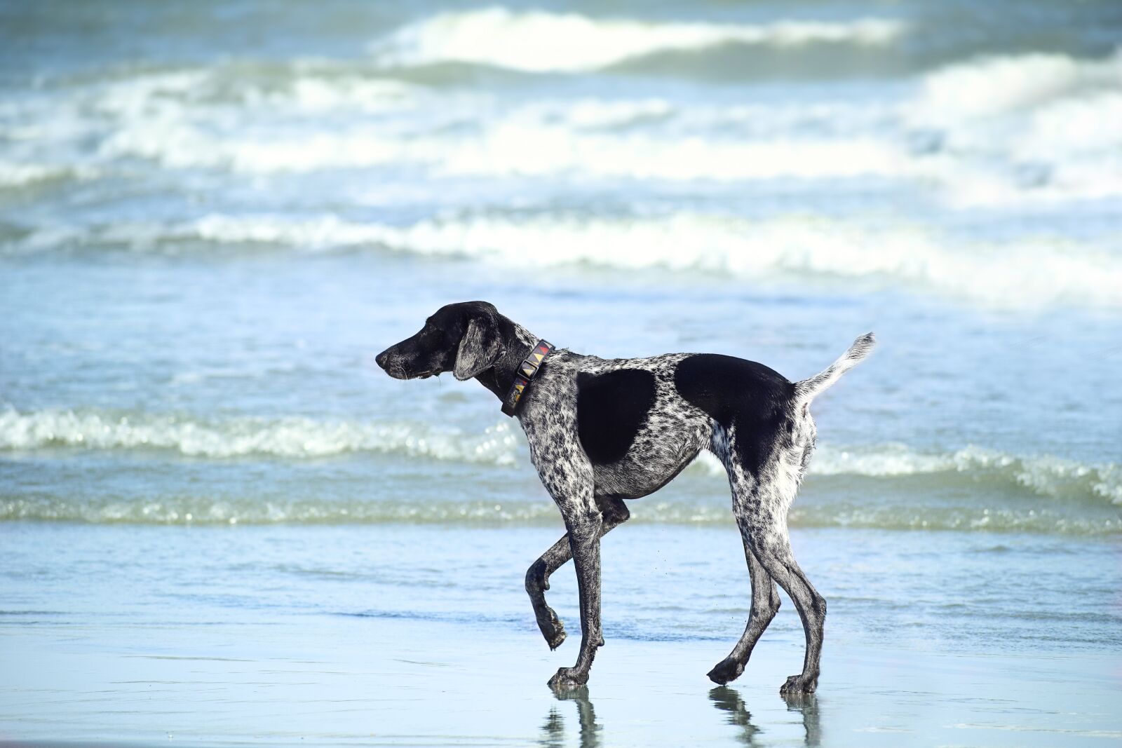 Nikon D5300 sample photo. Beach, ocean, sea photography