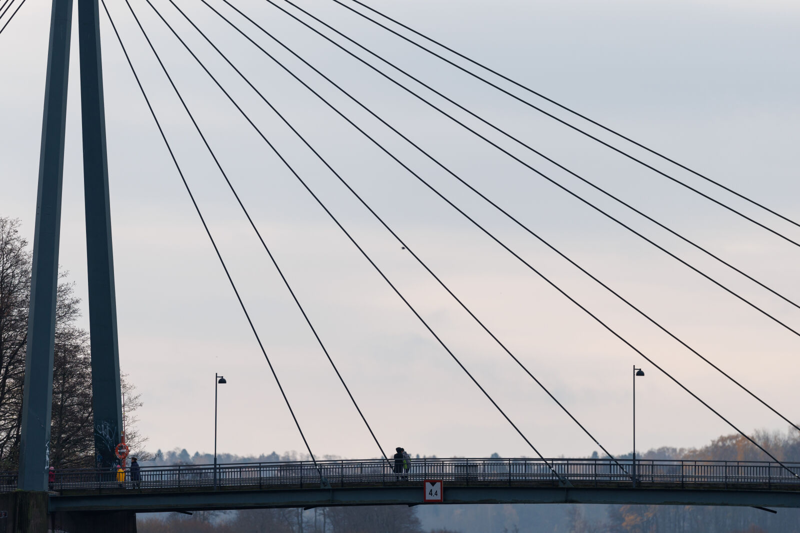 Canon EOS R1 sample photo. Walking bridge photography