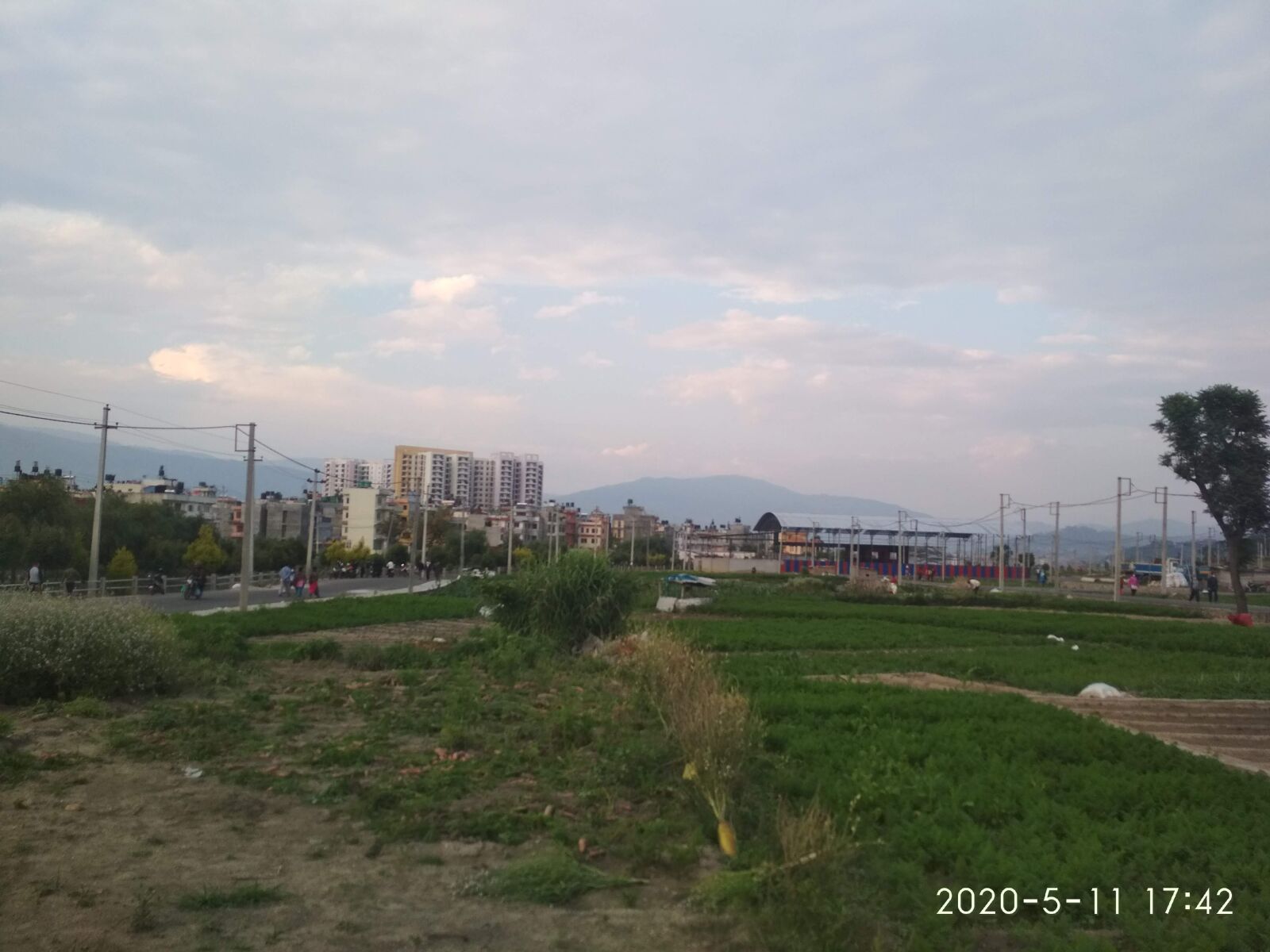 Xiaomi Redmi 4X sample photo. Greenery, building, landscape photography