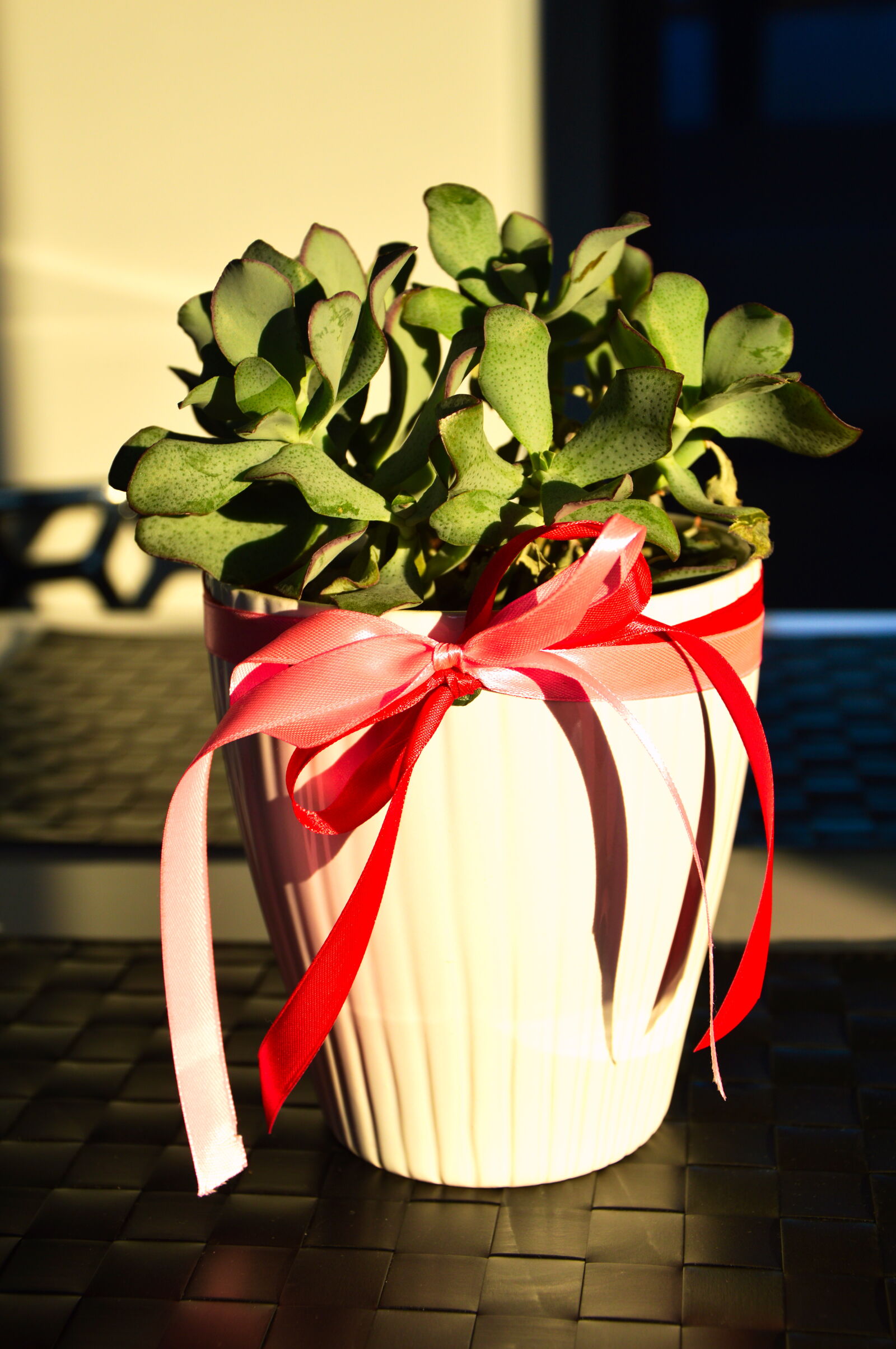 Nikon D3200 sample photo