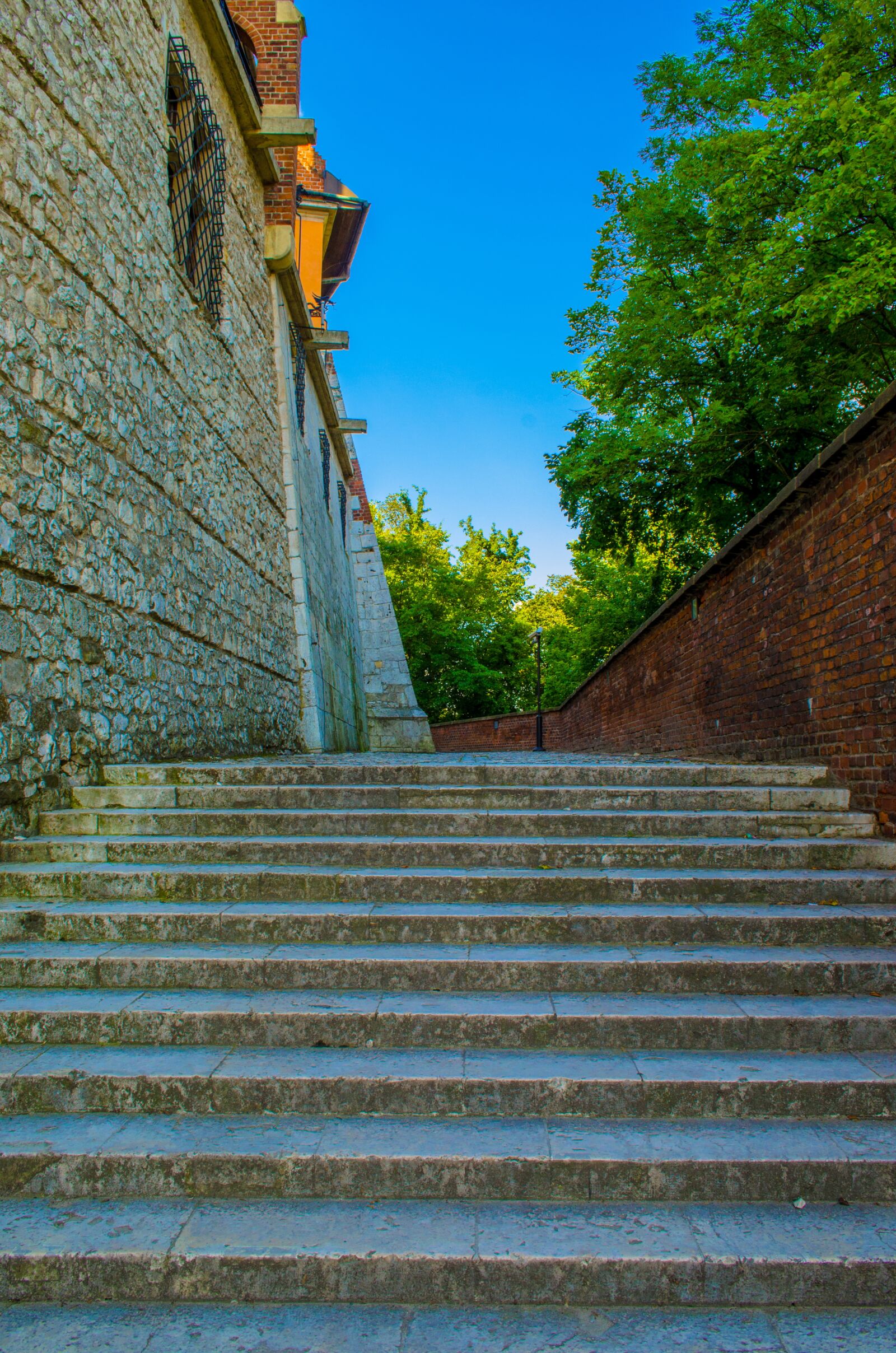 Nikon D5100 sample photo. Wawel, castle, fortress photography