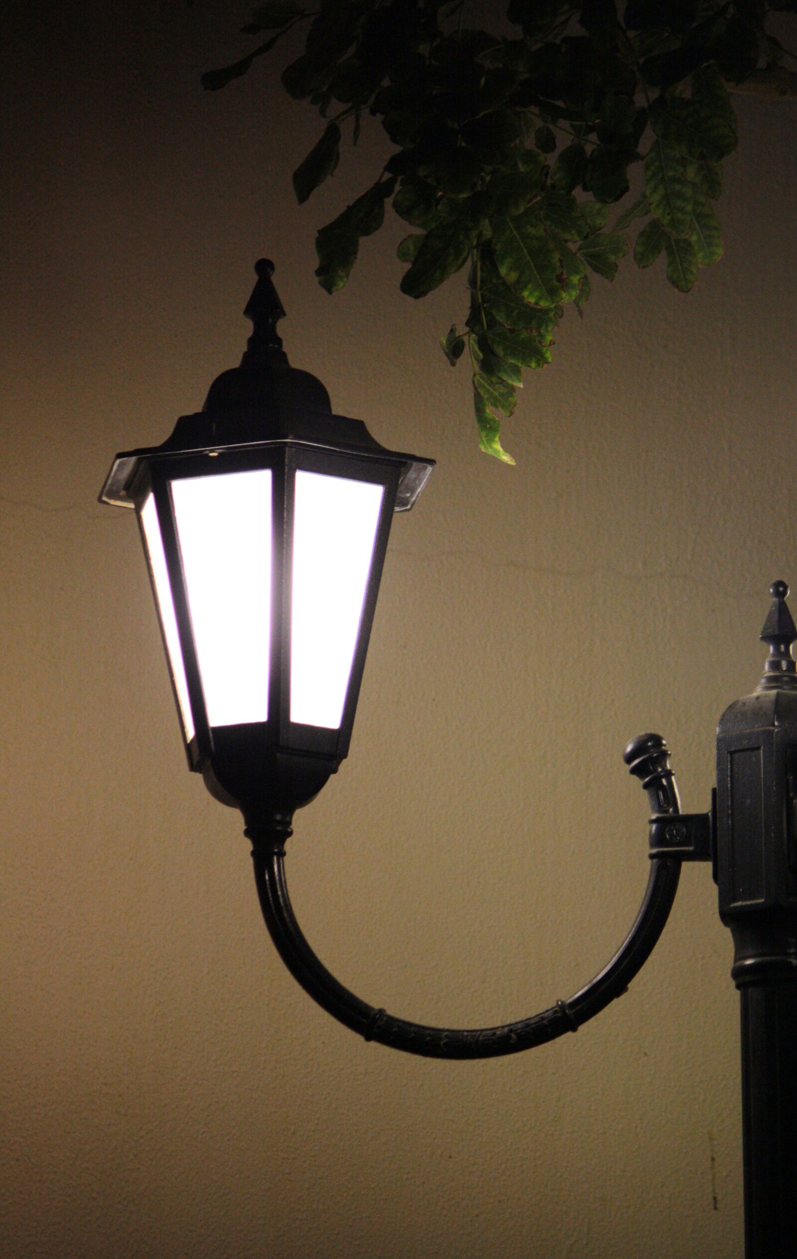 Canon EOS 1000D (EOS Digital Rebel XS / EOS Kiss F) sample photo. Light, lamppost, lampposts photography