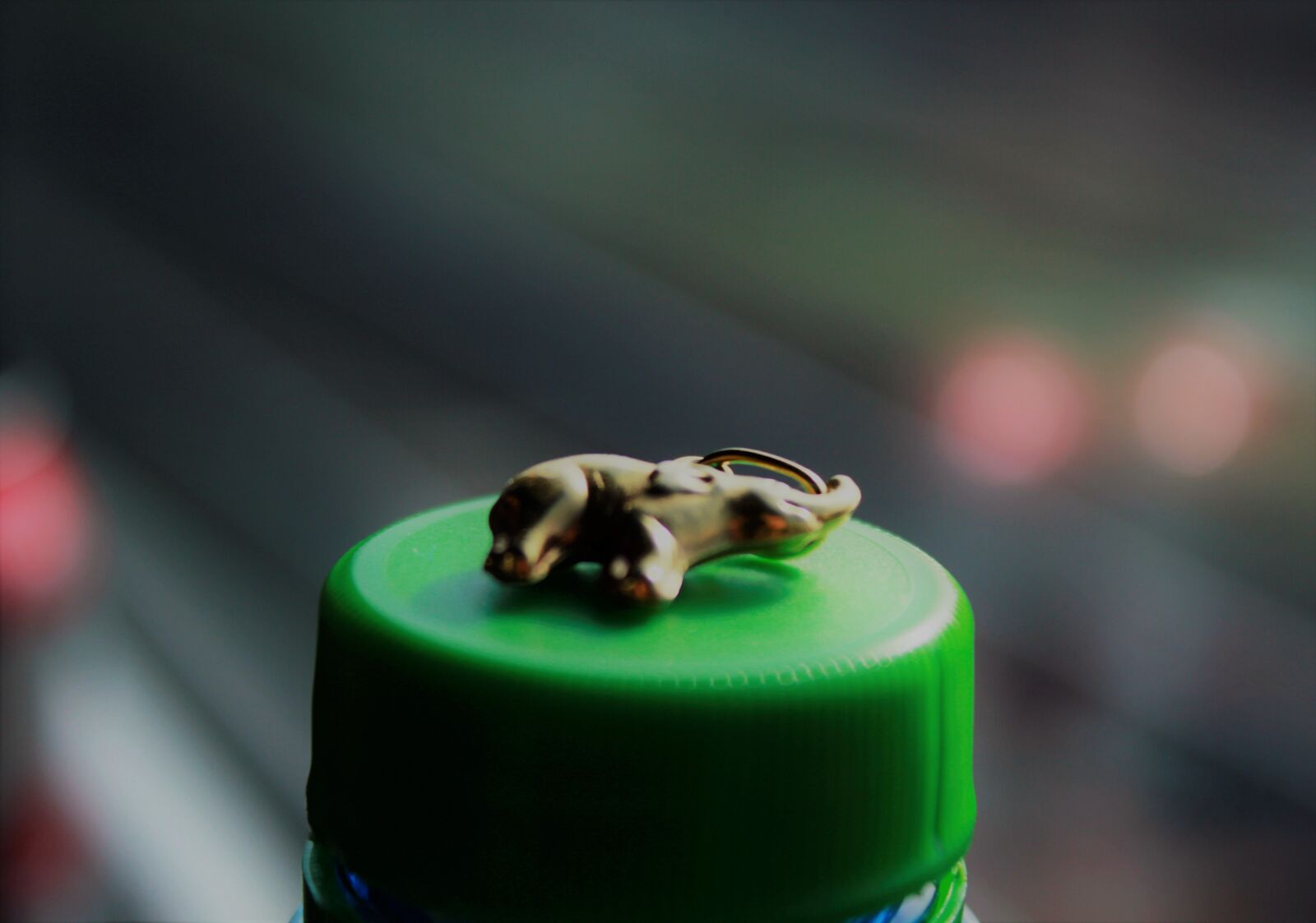 Canon EOS 600D (Rebel EOS T3i / EOS Kiss X5) sample photo. Detail, focus photography