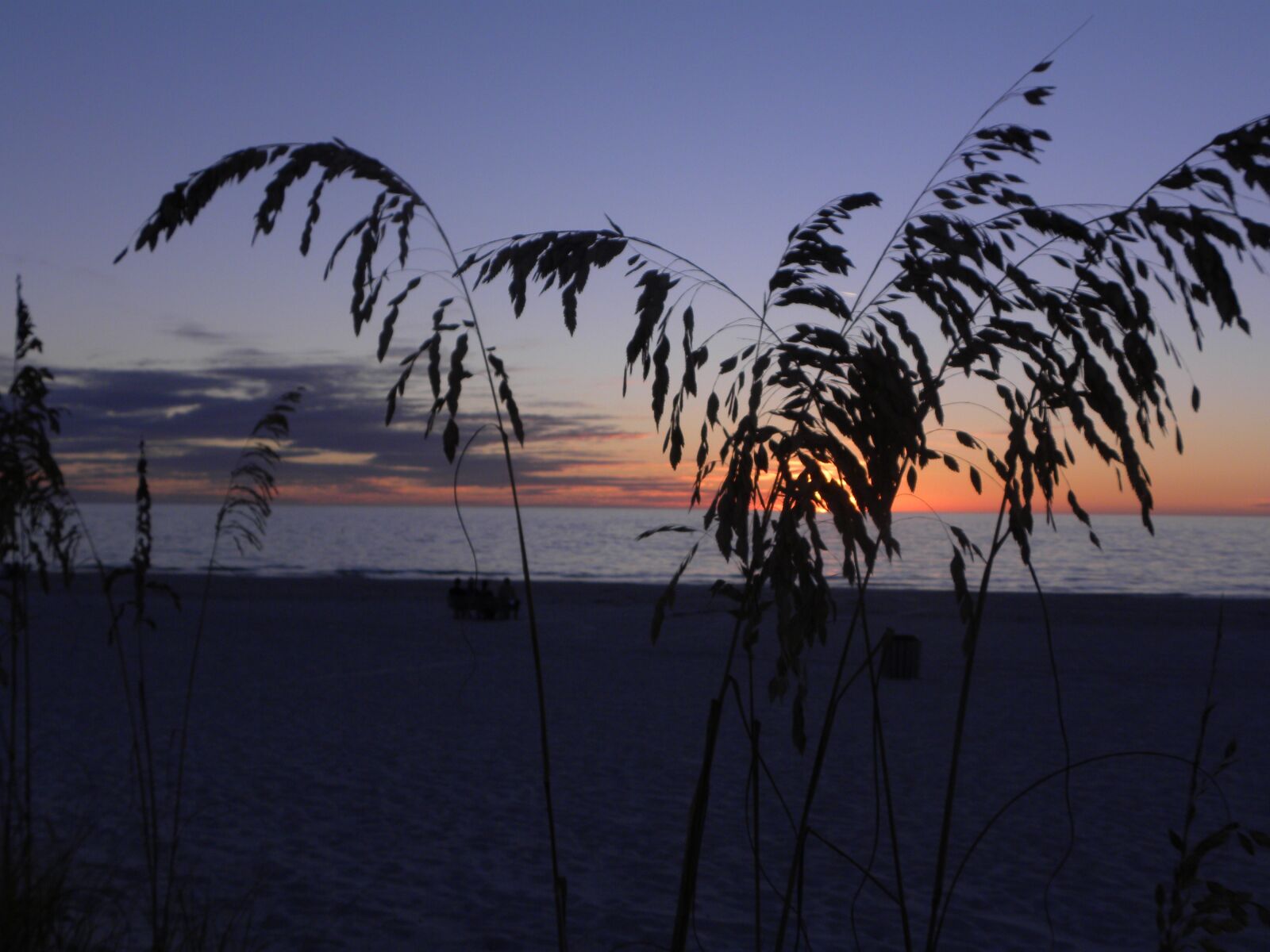 Nikon Coolpix P90 sample photo. Sunset, tropical, sea oats photography