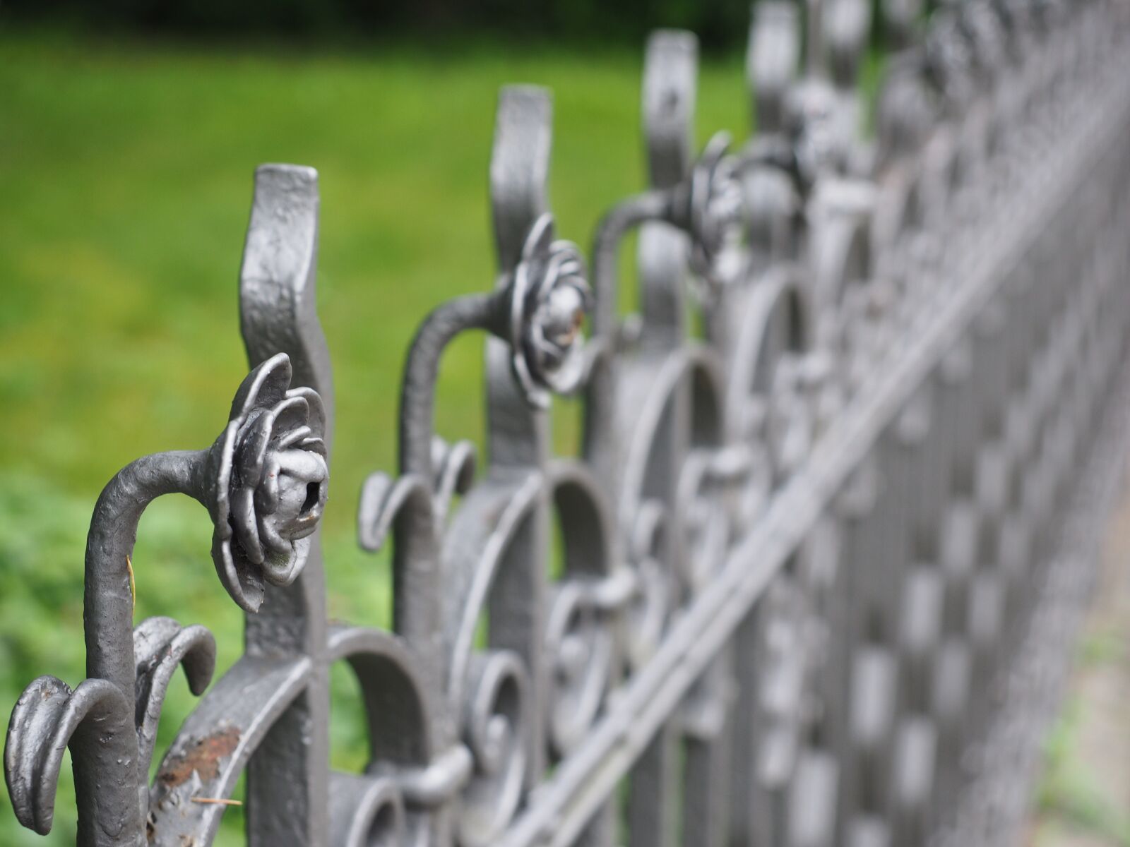 Olympus OM-D E-M1 + Olympus M.Zuiko Digital ED 12-40mm F2.8 Pro sample photo. Fence, garden fence, iron photography