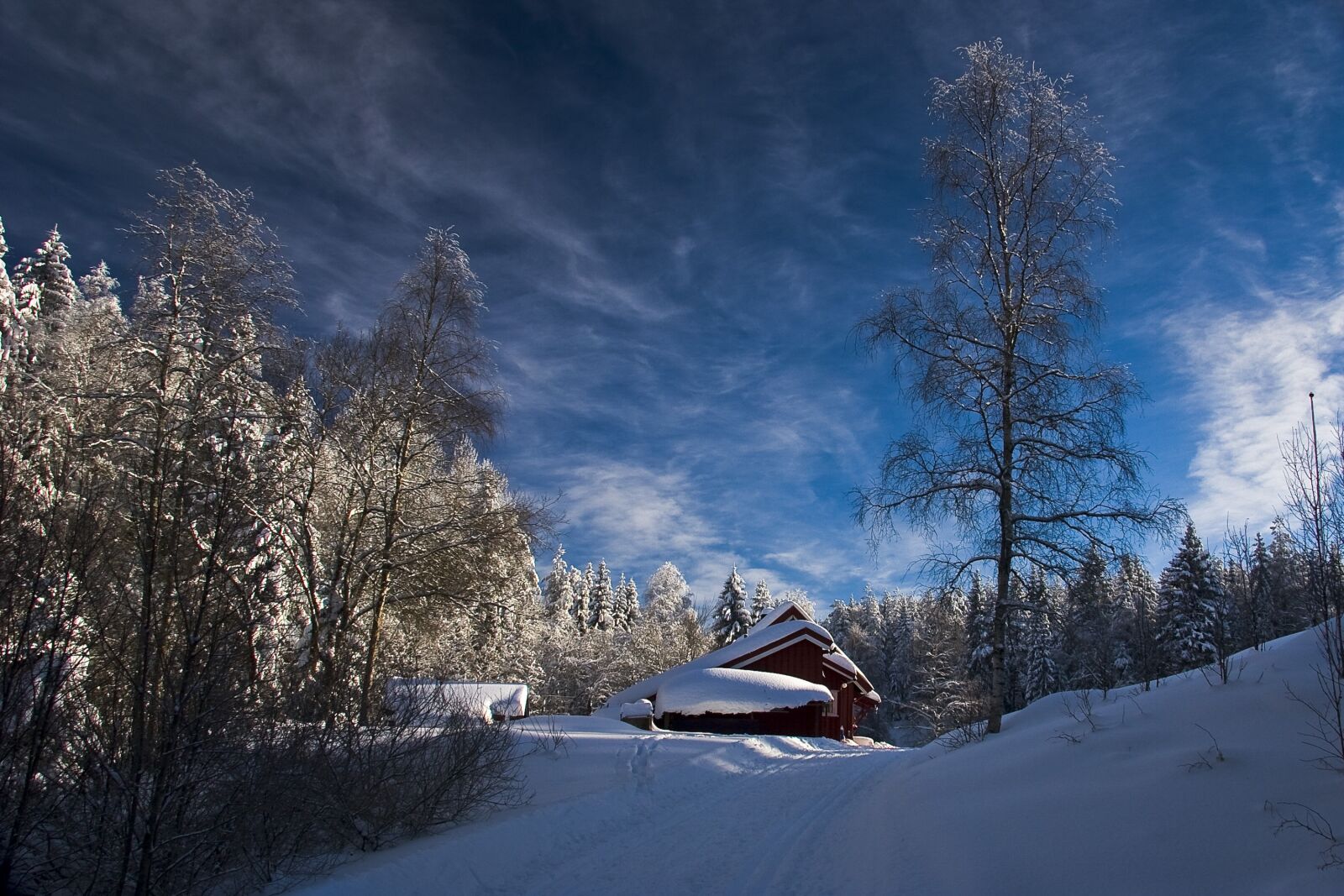 Canon EOS 20D sample photo. Winter, snow, sky photography