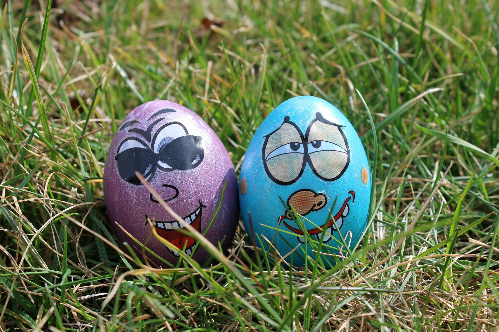 Canon EOS 1200D (EOS Rebel T5 / EOS Kiss X70 / EOS Hi) sample photo. Eggs, easter eggs, fun photography