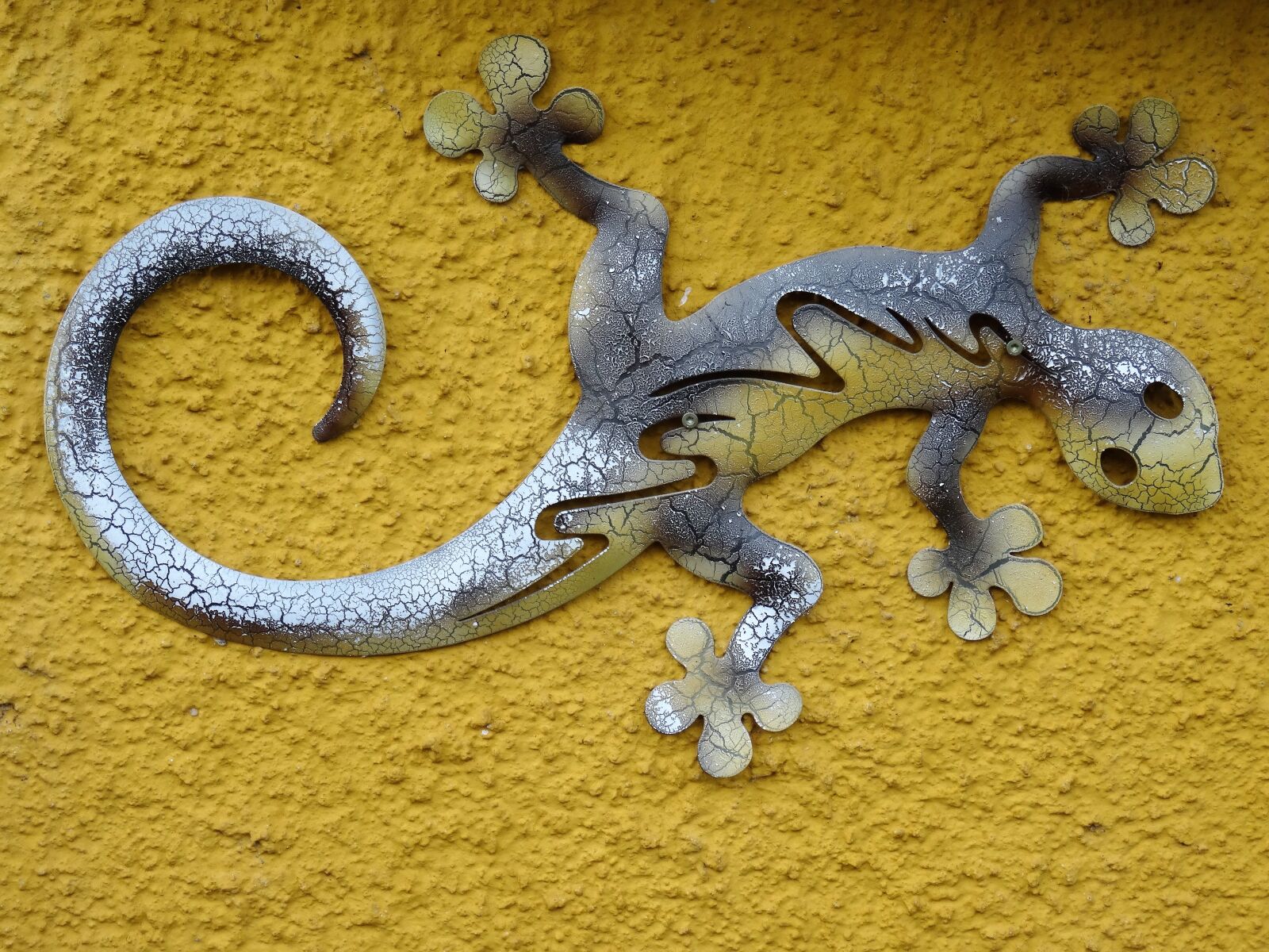 Sony Cyber-shot DSC-HX50V sample photo. Metal sign, salamander, deco photography