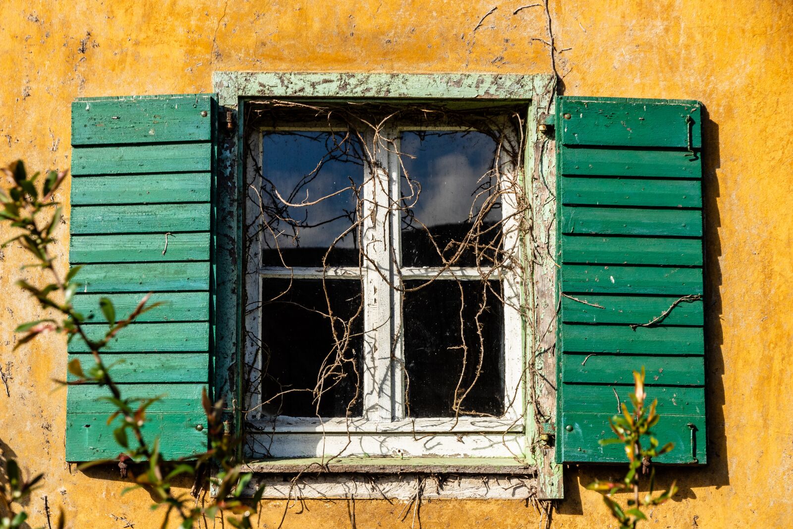 Canon EOS 80D sample photo. House, window, wood photography