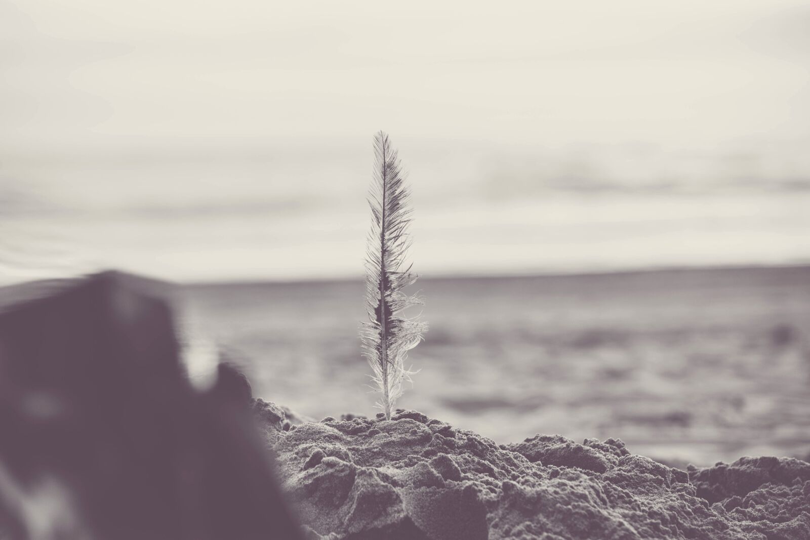 Nikon D5200 sample photo. Feather, winter, nature, sunset photography