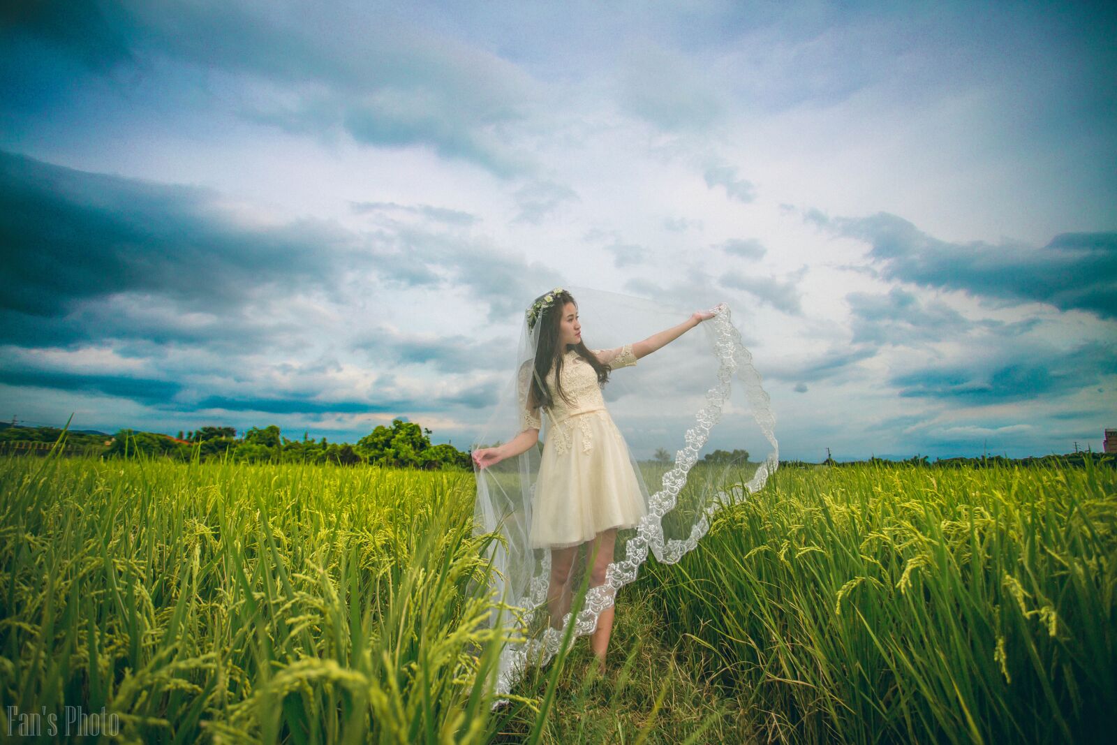 Canon EF 17-40mm F4L USM sample photo. Rice, field, girls photography