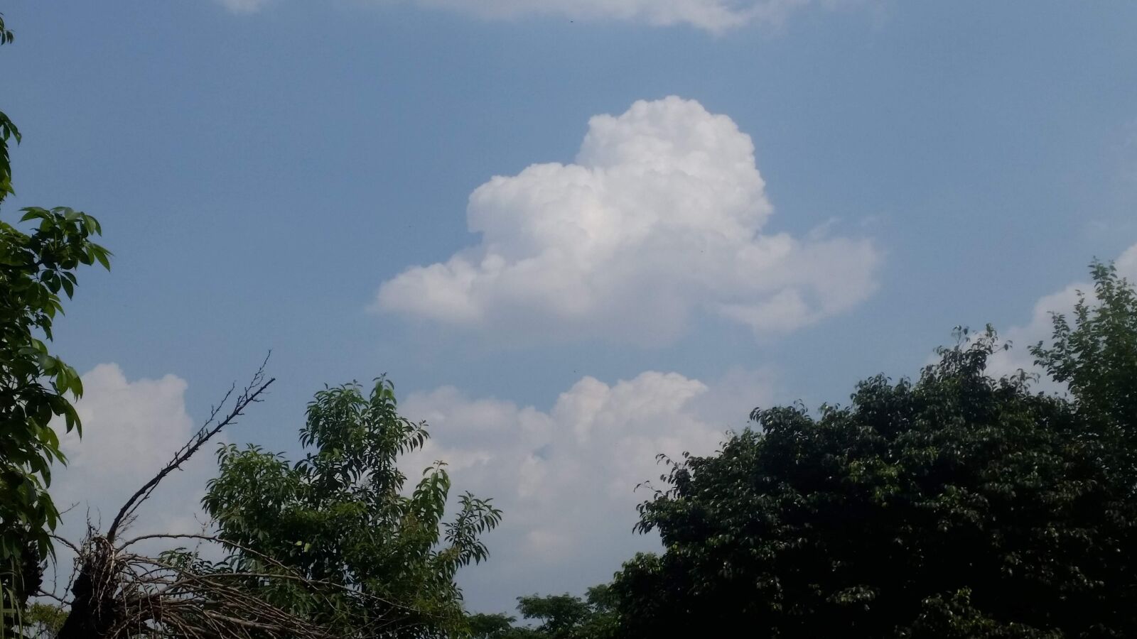 Samsung Galaxy S5 sample photo. Sky, blue sky, pakistan photography