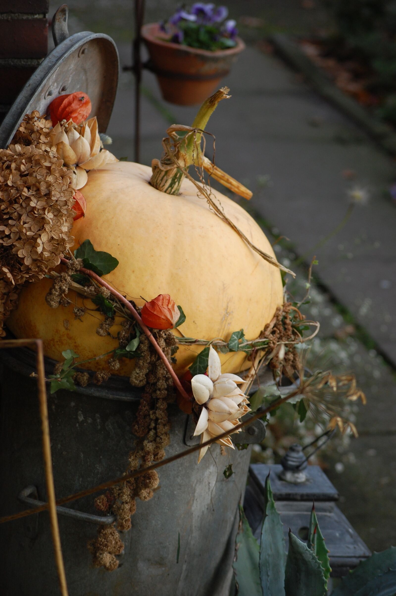 Nikon D40 sample photo. Pumpkin, garden, deco photography