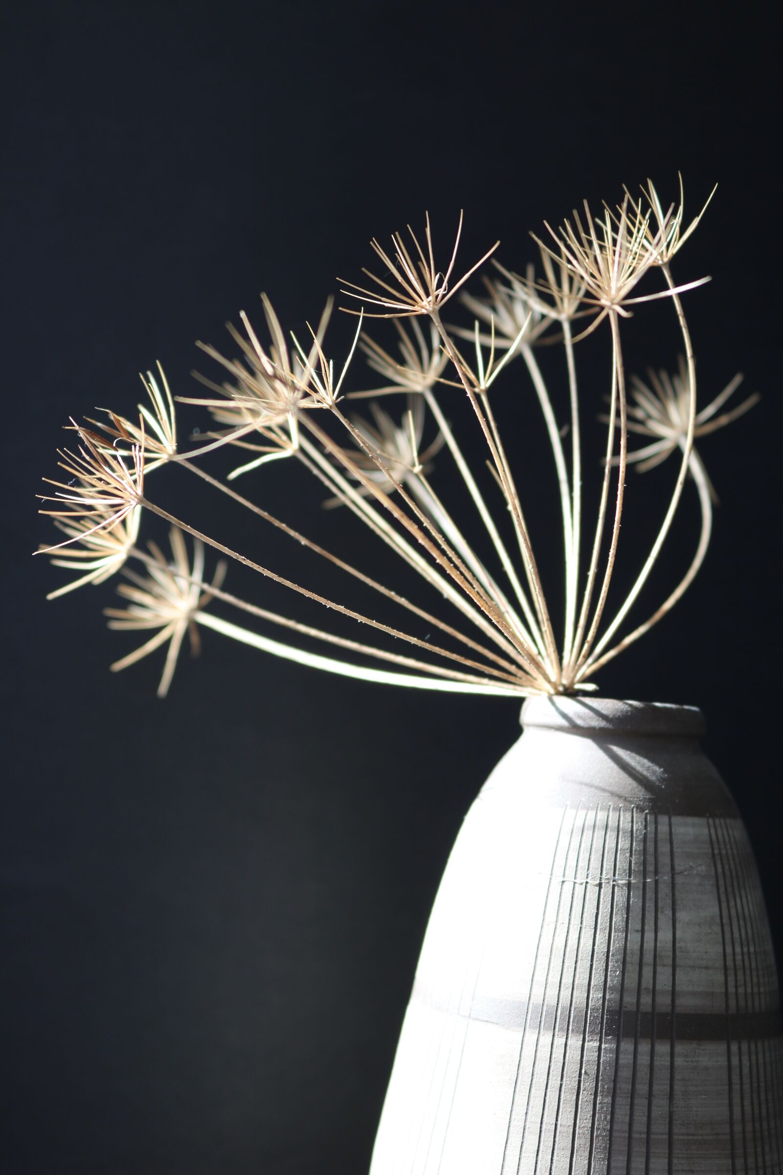 Canon EOS 750D (EOS Rebel T6i / EOS Kiss X8i) sample photo. Vase, black background, autumn photography