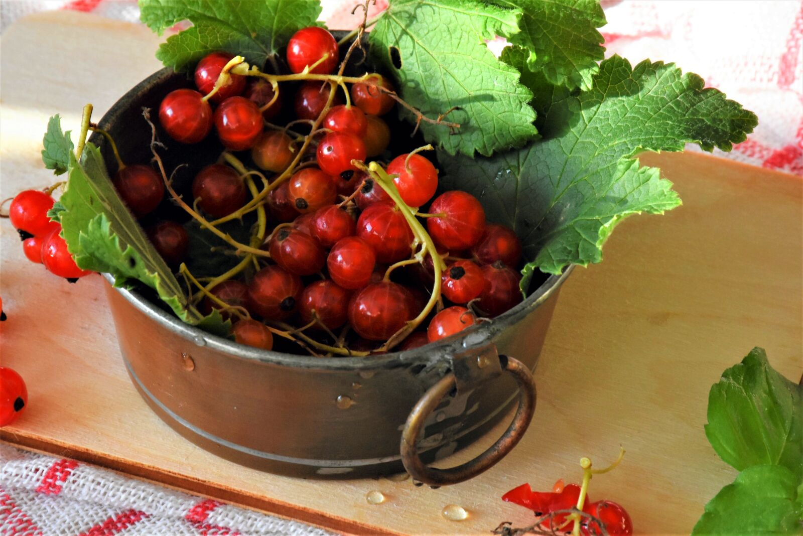 Nikon D7200 sample photo. Currants, fruit, berries photography