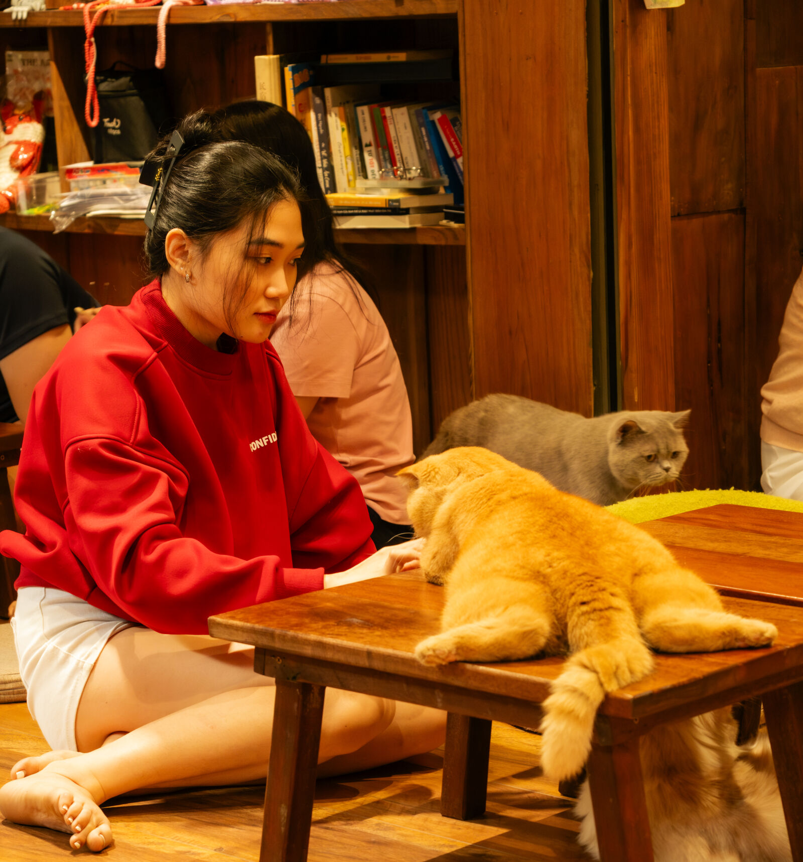 Fujifilm X-T5 sample photo