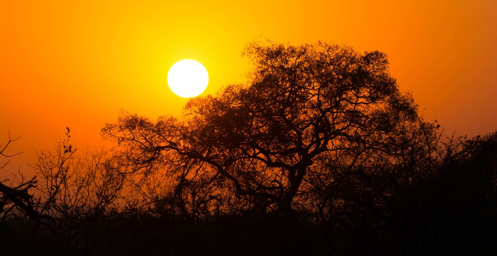Nikon D5200 sample photo. South africa, sunrise, landscape photography