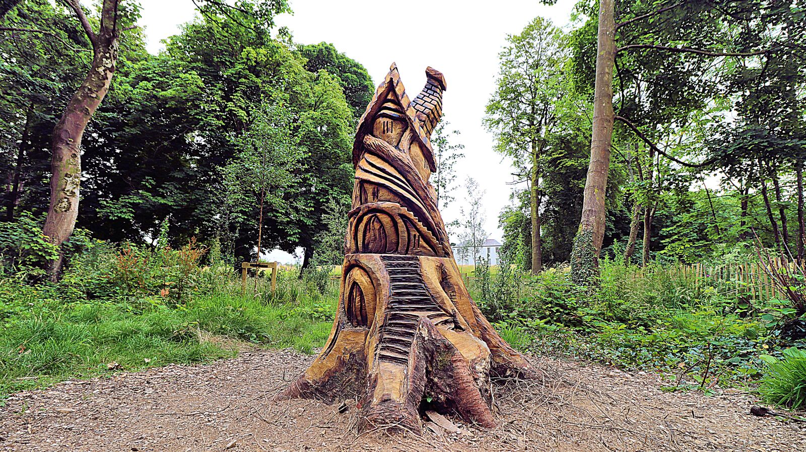 Canon EOS 90D sample photo. Chainsaw, sculpture, wood photography