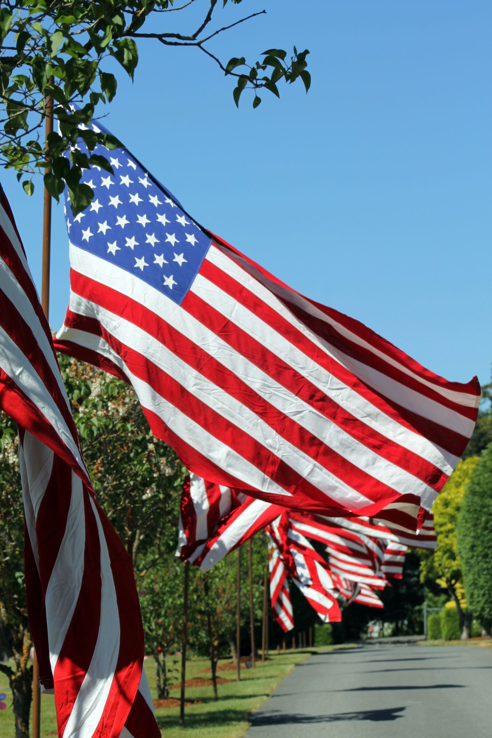 Canon EOS 1100D (EOS Rebel T3 / EOS Kiss X50) sample photo. Flag, cemetery, memorial day photography