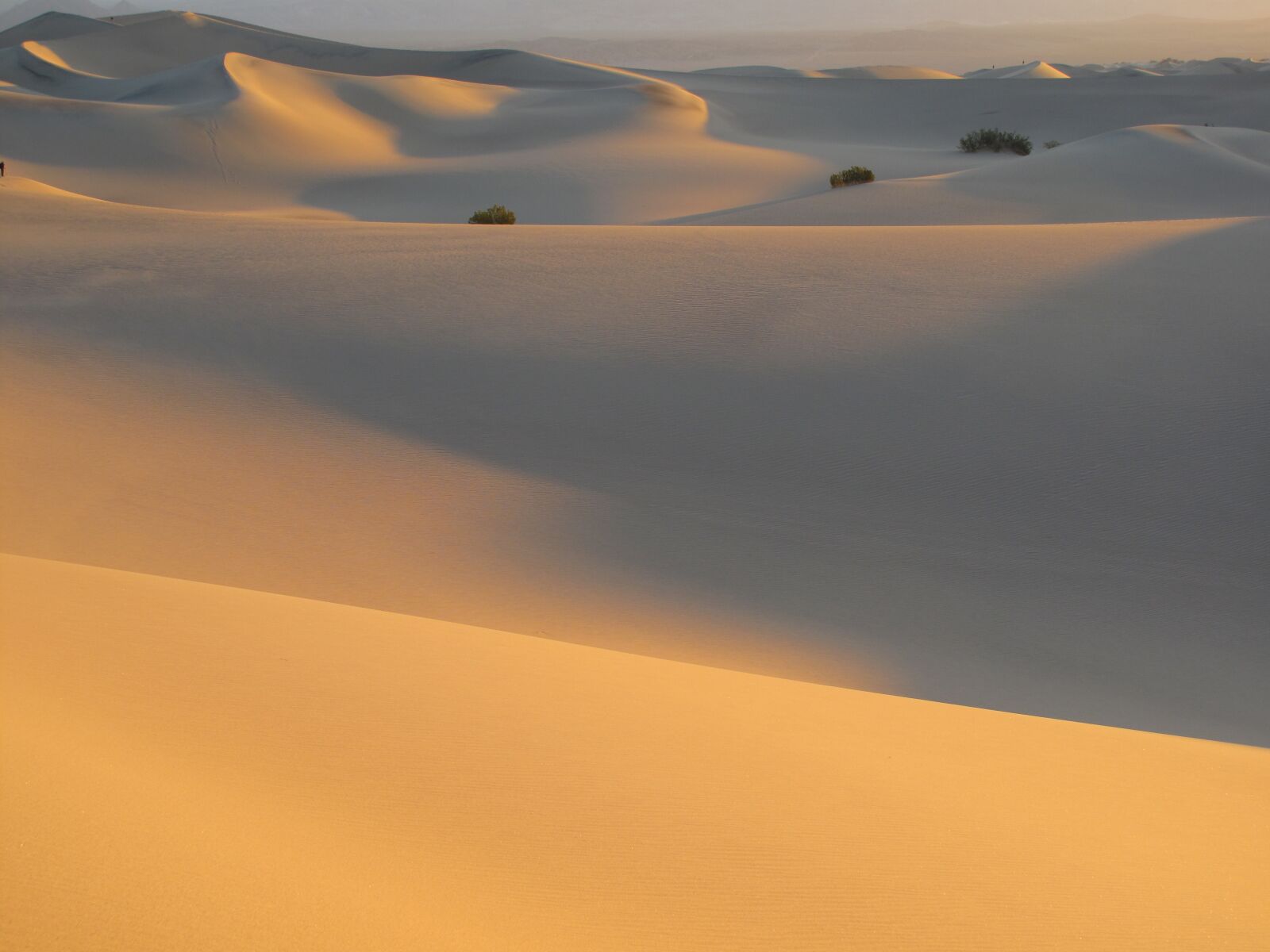 Canon PowerShot G10 sample photo. Desert, sand, dunes photography