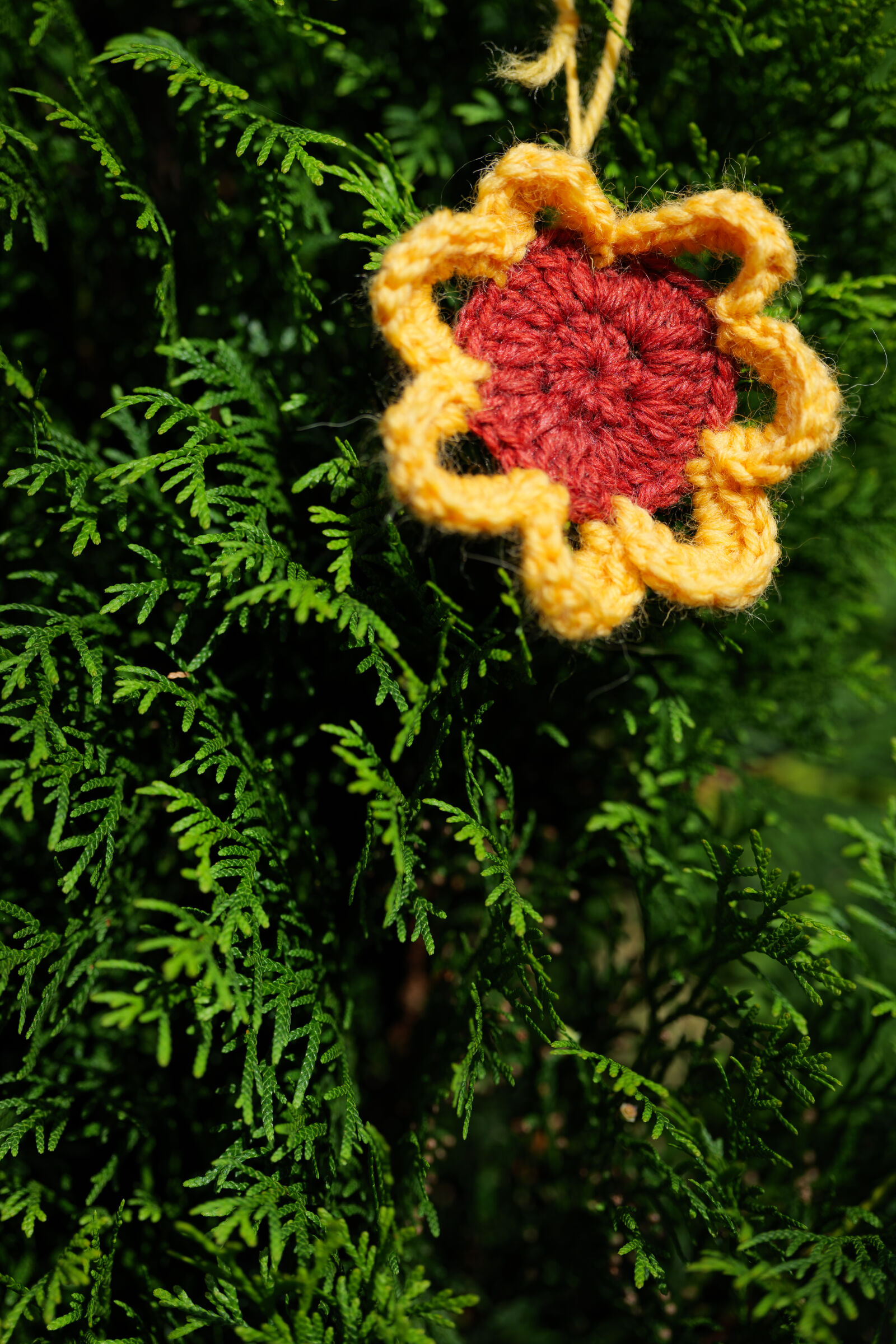 Panasonic Lumix DC-S5 II sample photo. Knitting decoration photography
