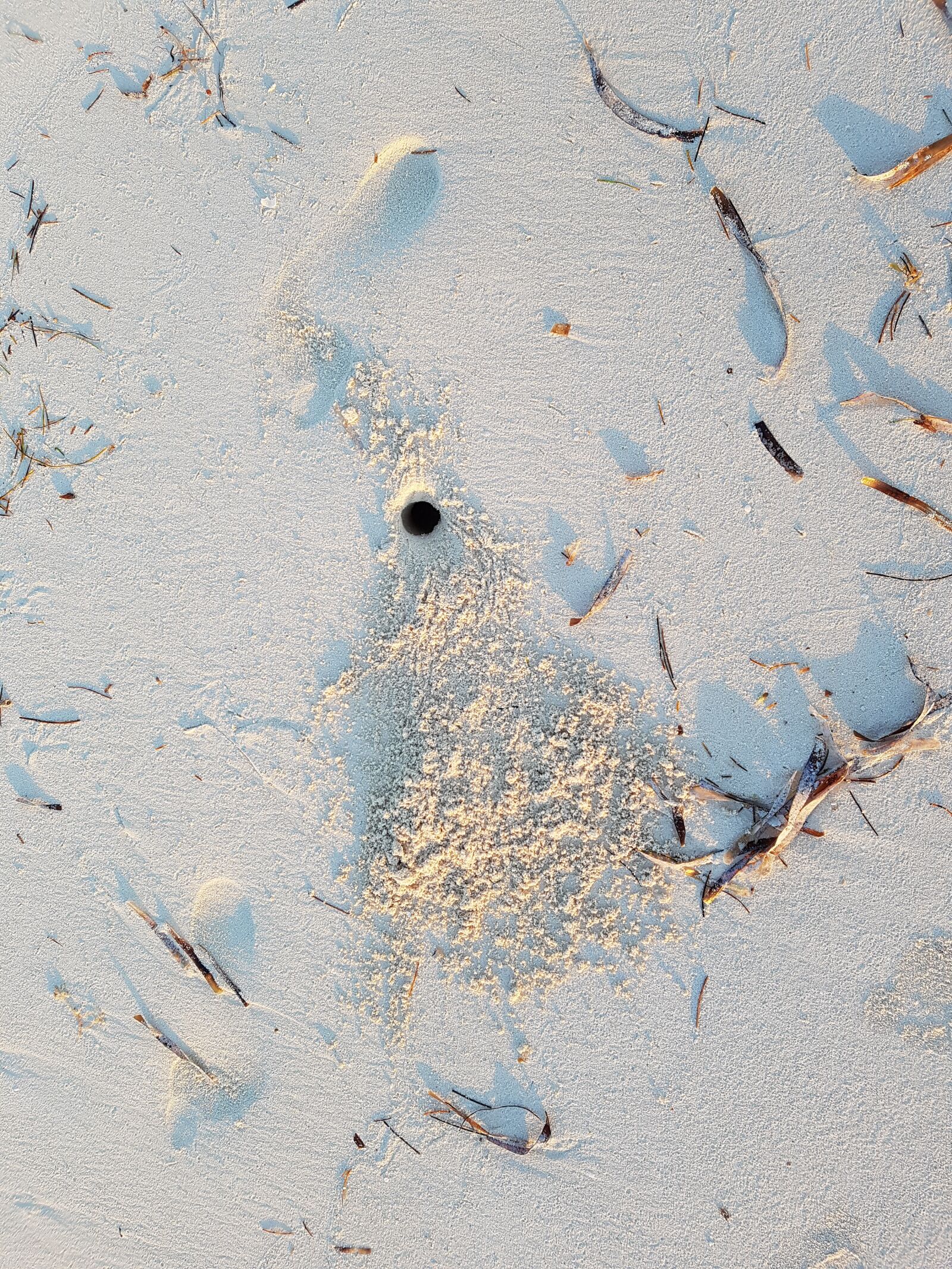 Samsung Galaxy S7 sample photo. Beach, sand, hole photography