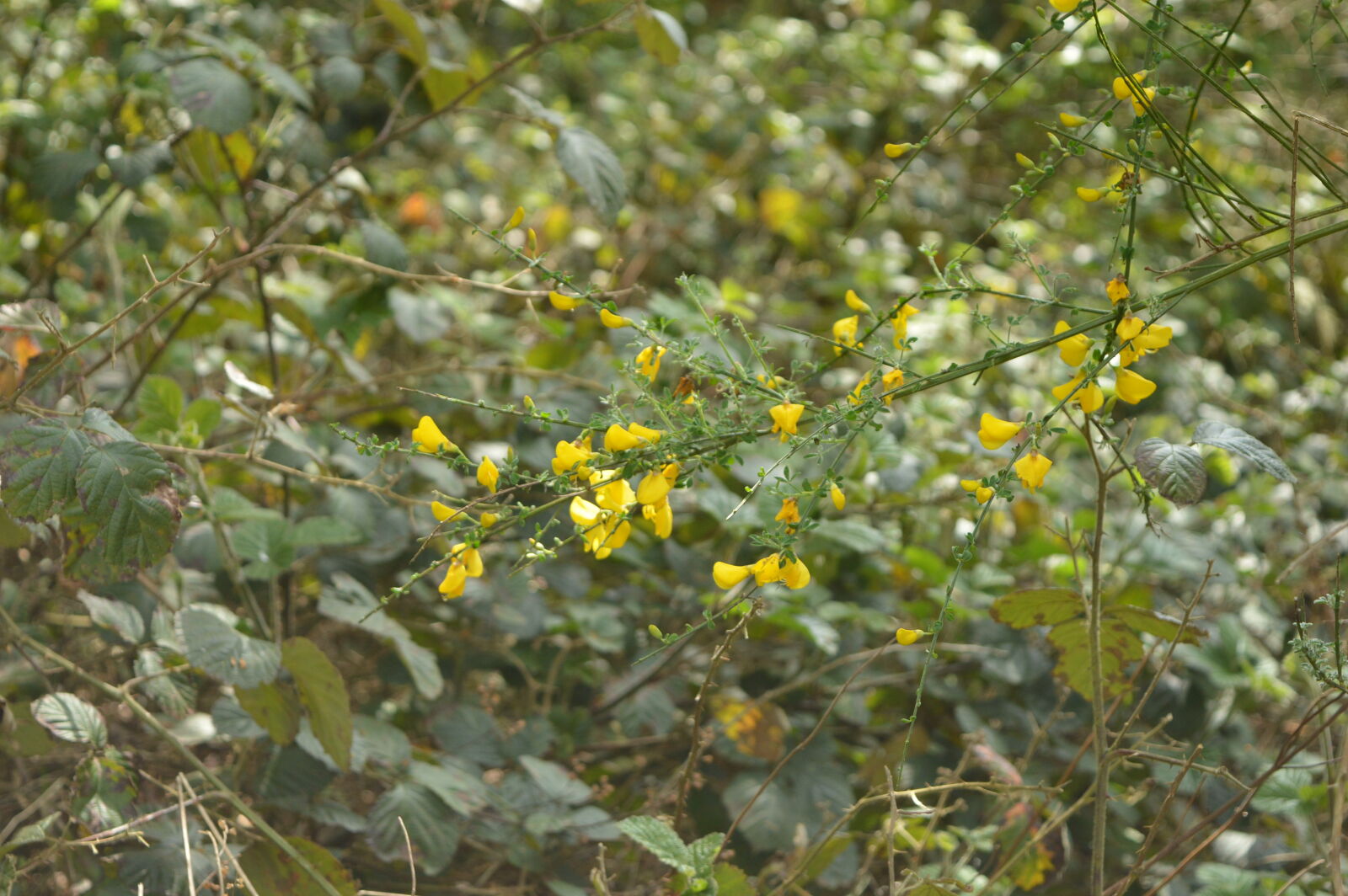 Nikon D3200 sample photo
