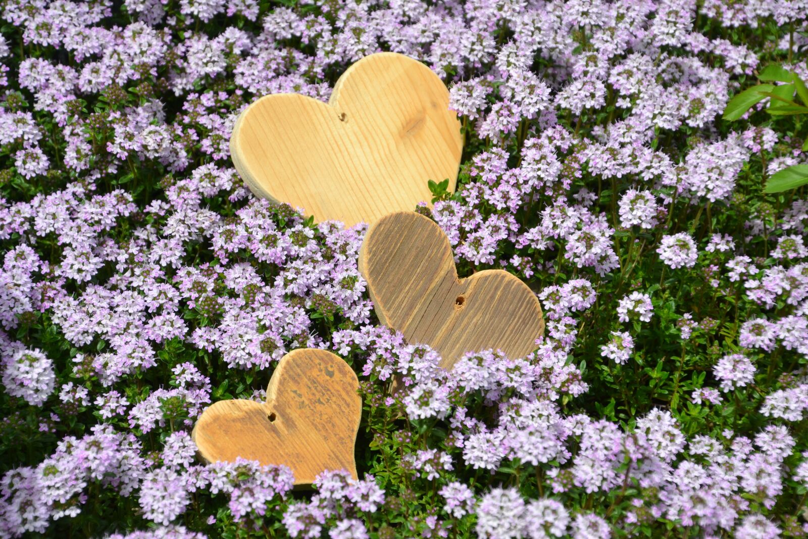 Nikon D3100 sample photo. Love, heart, mother's day photography