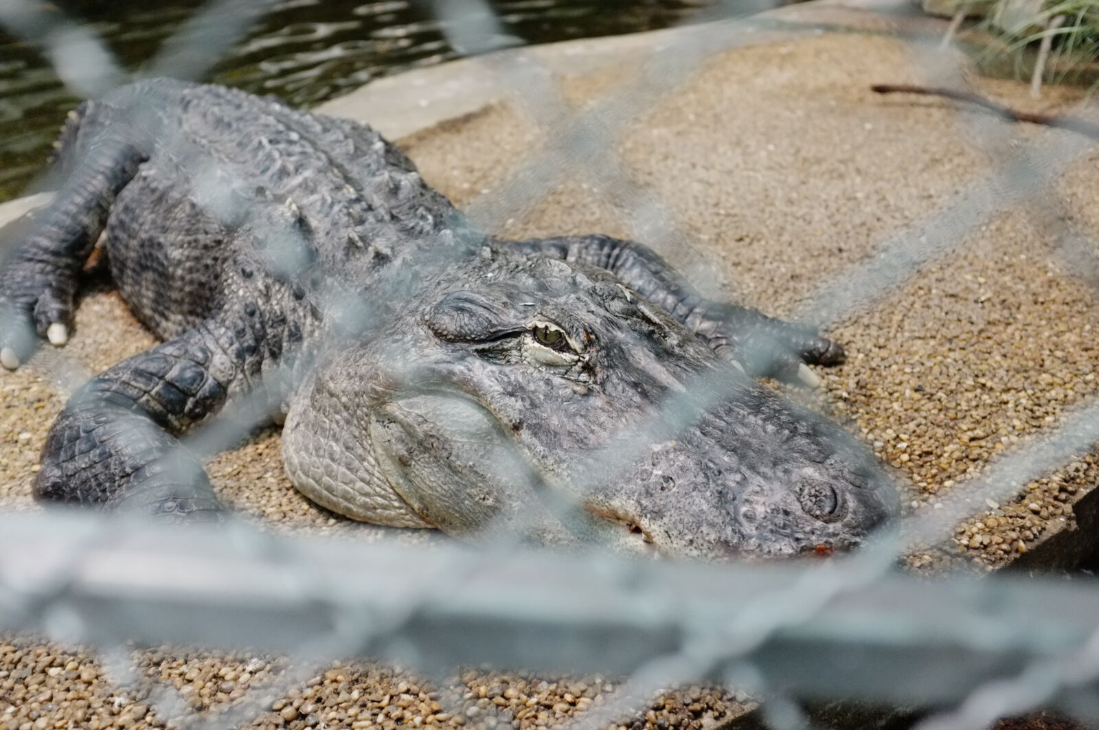 Fujifilm FinePix X100 sample photo