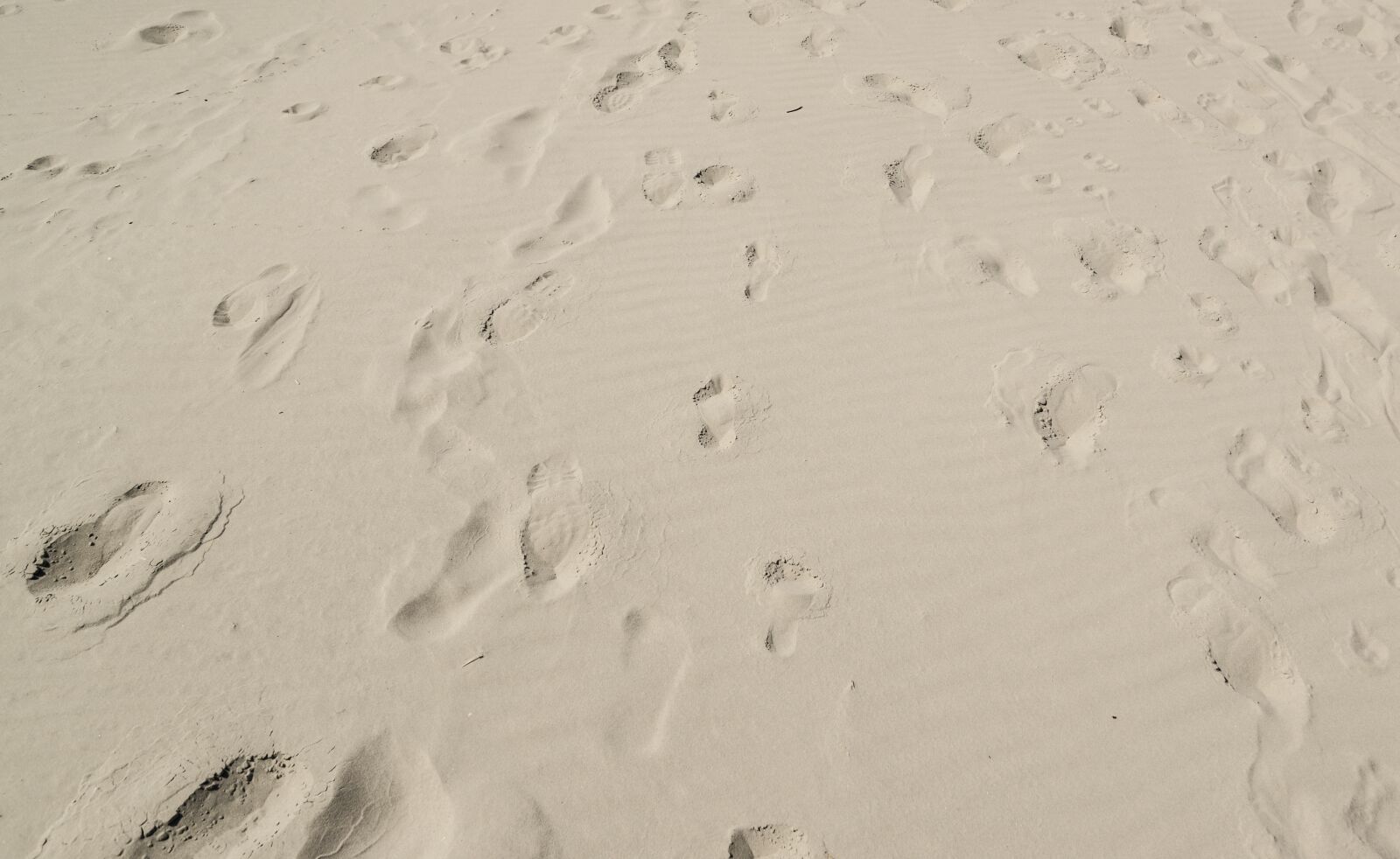 Nikon D610 sample photo. Foot, print, sand photography