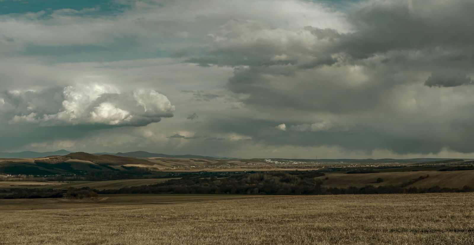 Nikon D5300 sample photo. Forests, meadows, fields photography