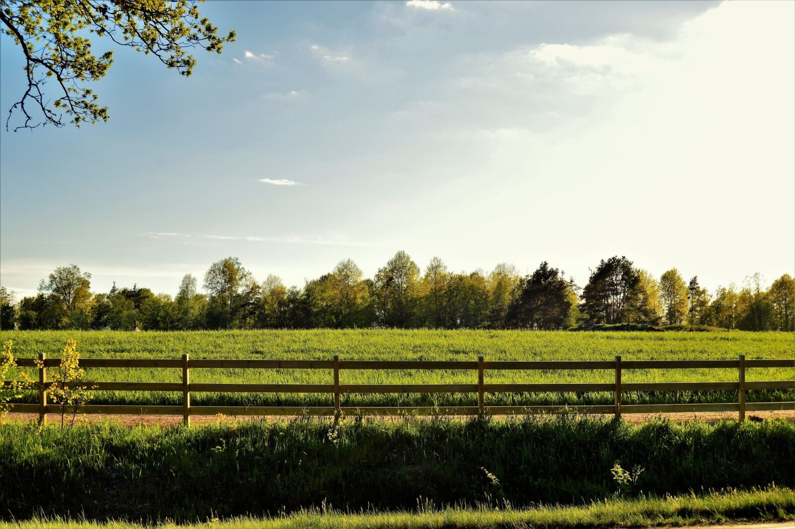 Nikon D3200 sample photo. Fence, sweden, bed photography