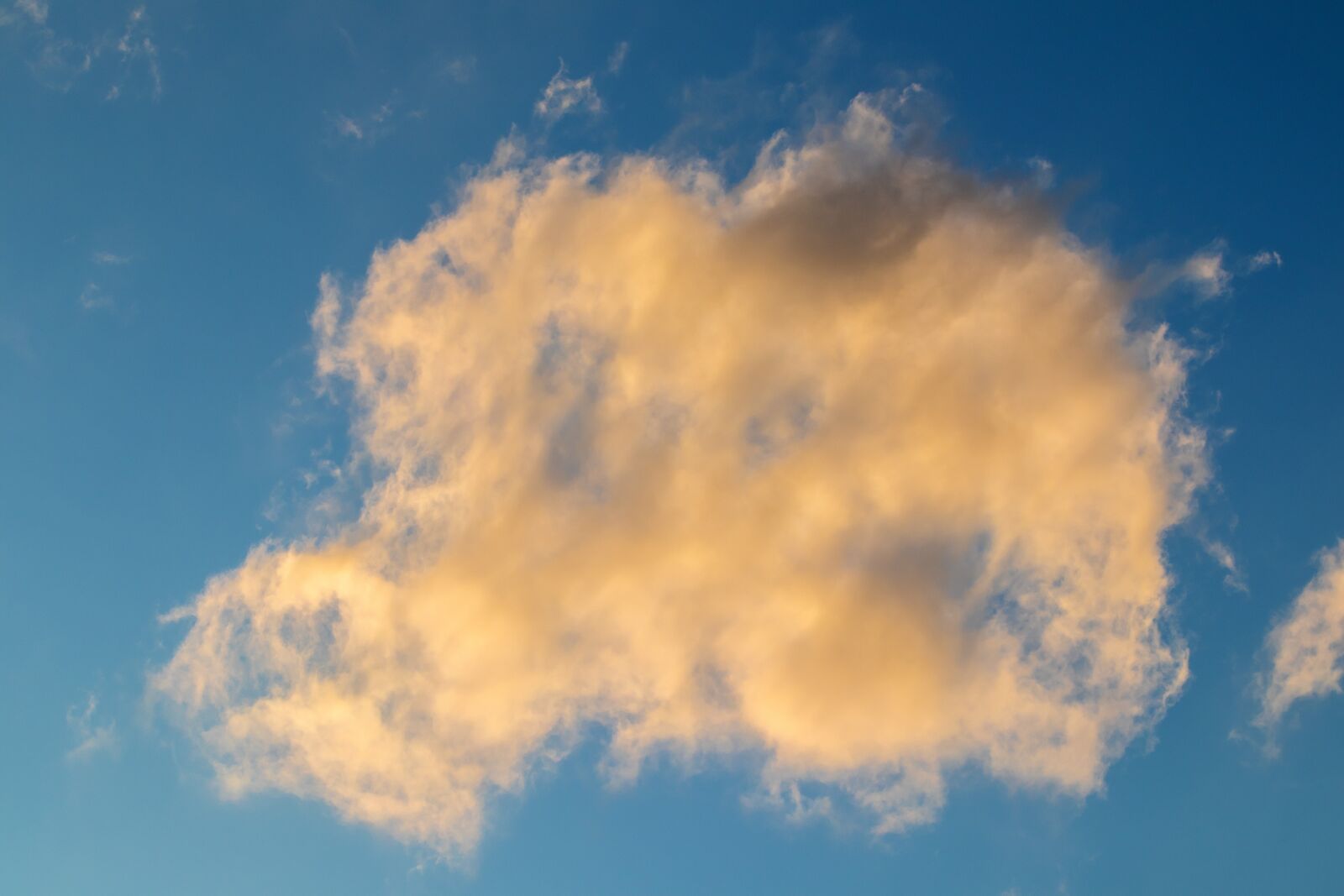 Canon EOS M50 (EOS Kiss M) sample photo. Sky, clouds, yellow photography
