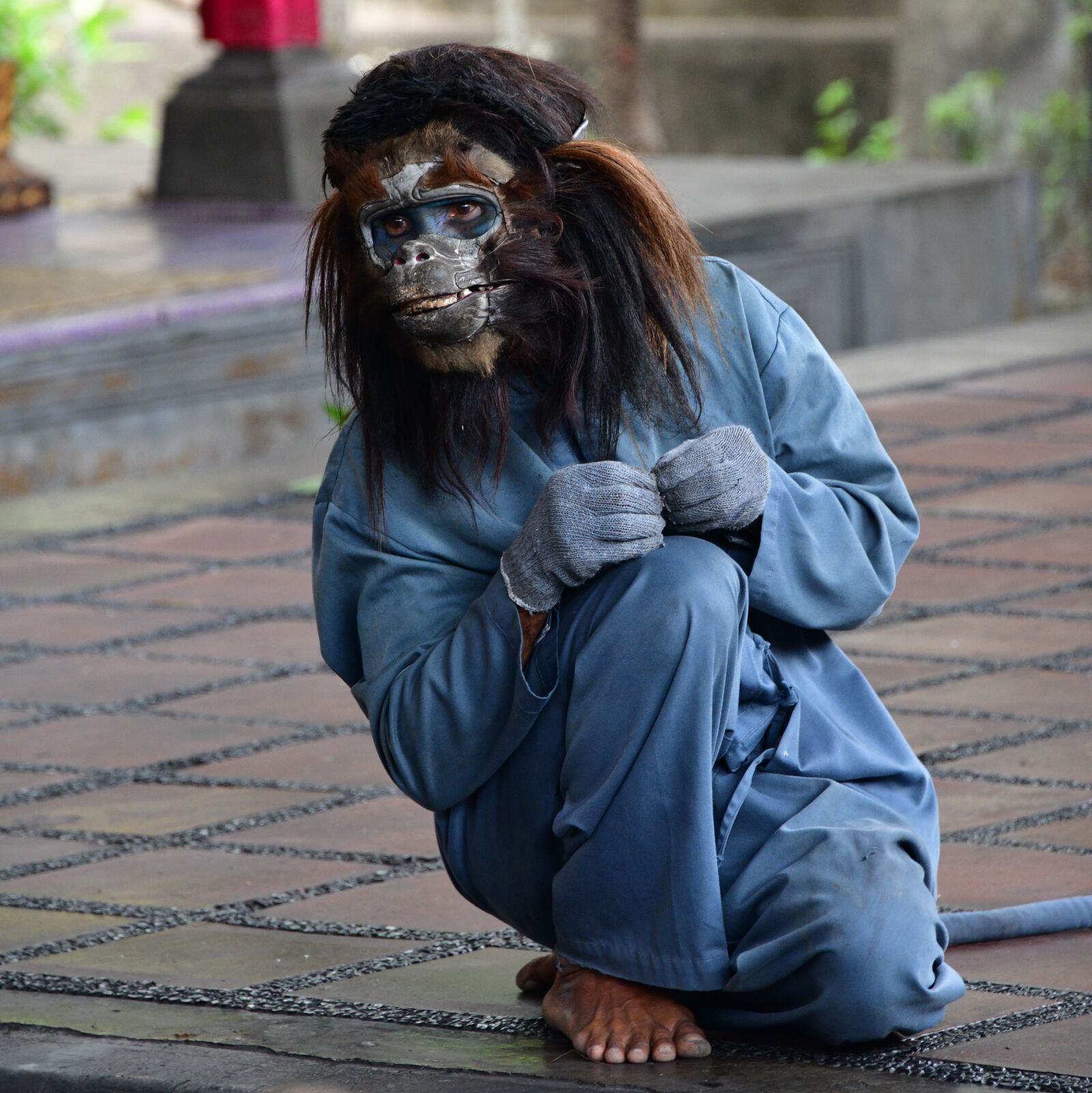 Nikon D850 sample photo. Monkey, play, costume photography