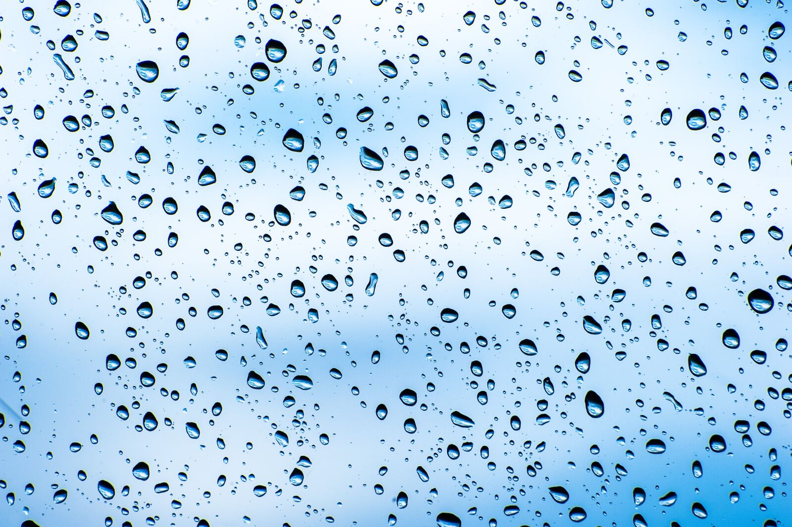 Nikon D700 sample photo. Rain, background, storm photography