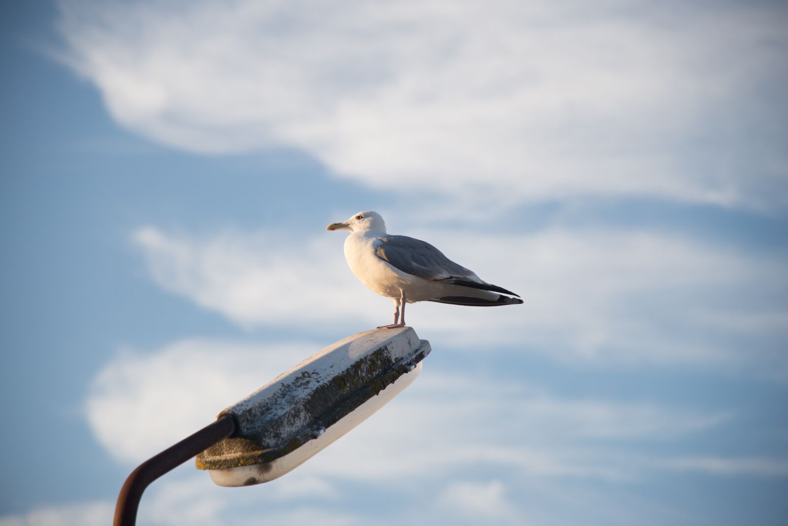 Nikon D610 sample photo. One, two, three photography