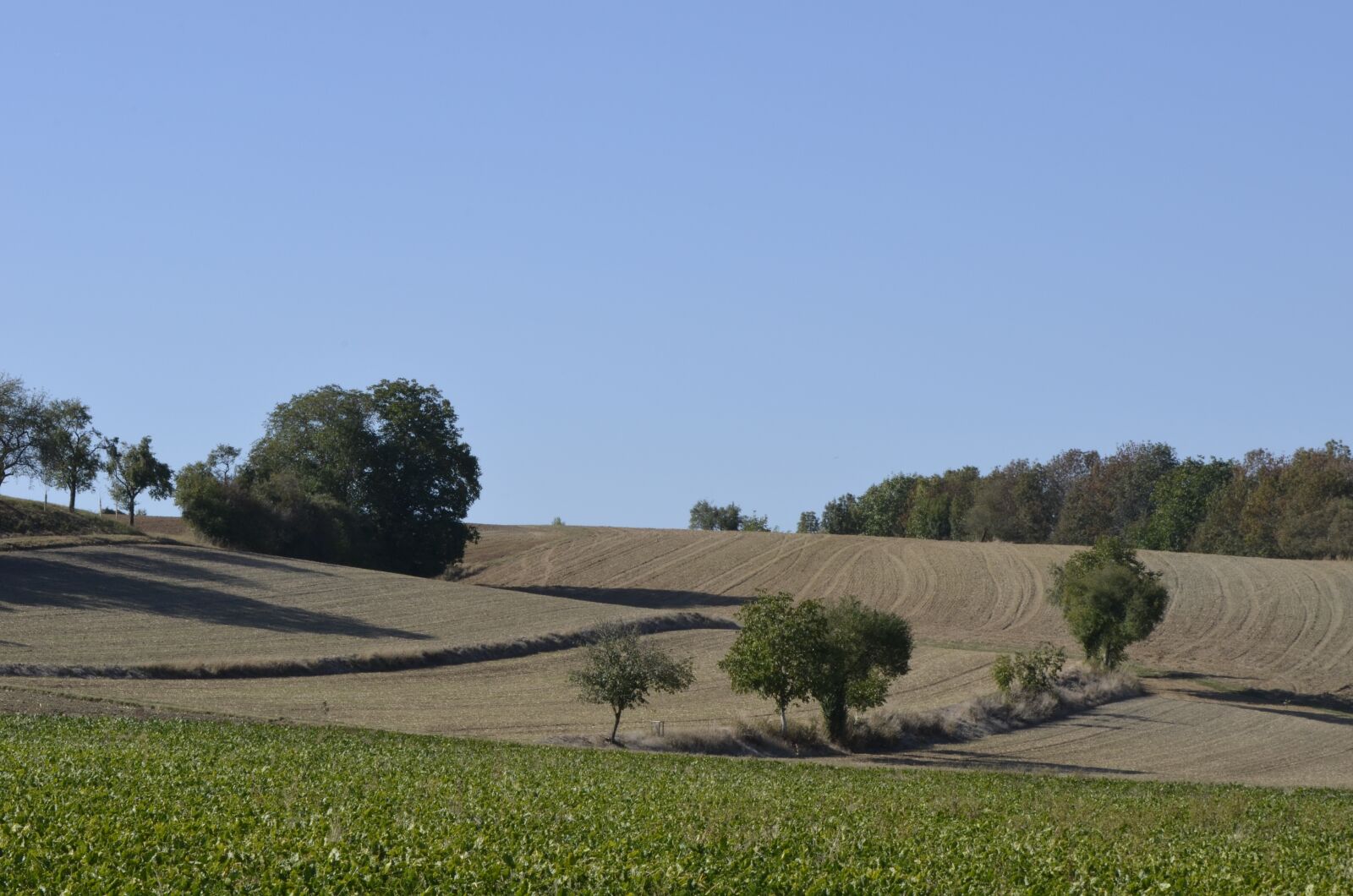 Nikon D5100 sample photo. Autumn landscape, hilly, field photography