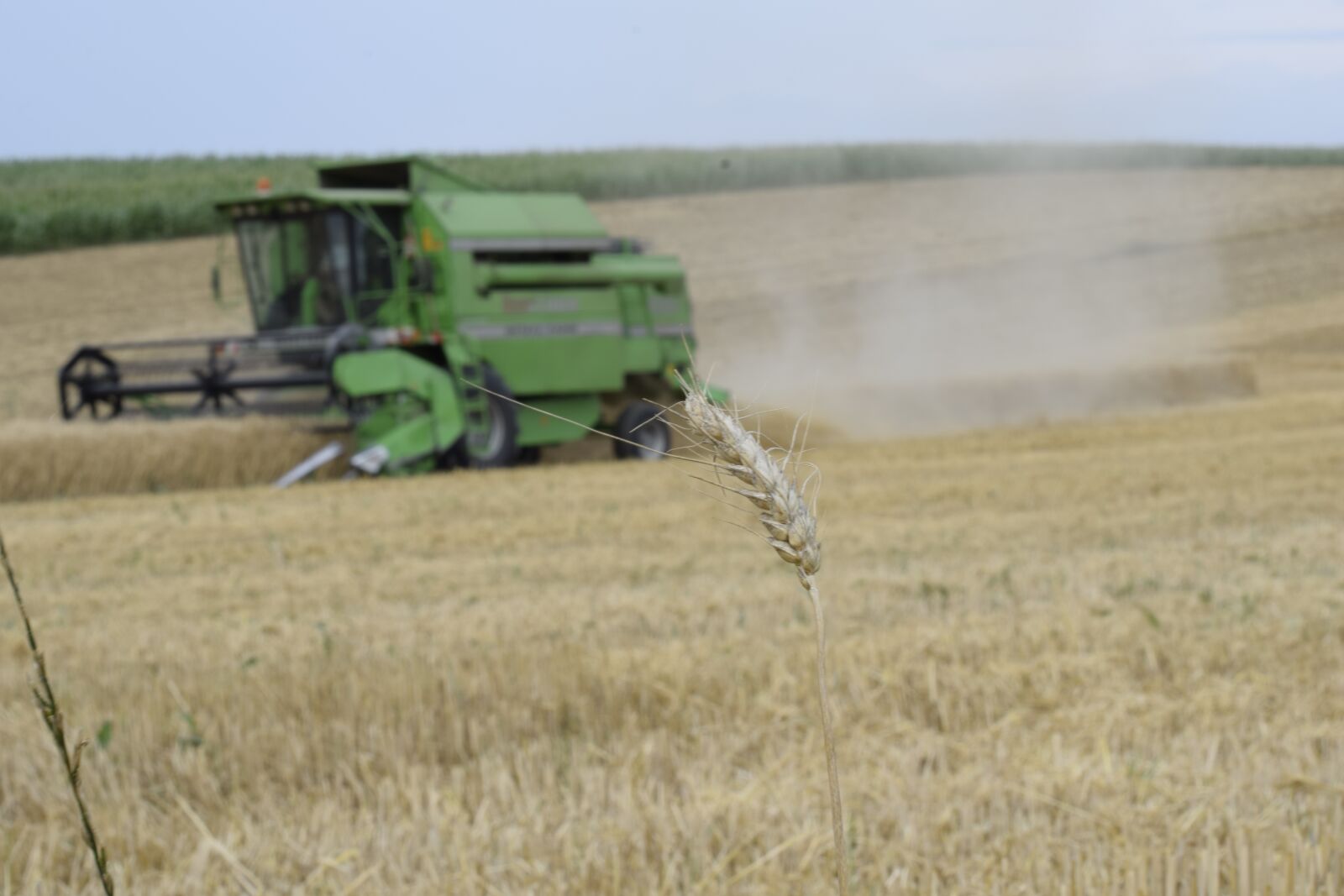 Nikon D5300 sample photo. Combine harvester, harvester, agricultural photography