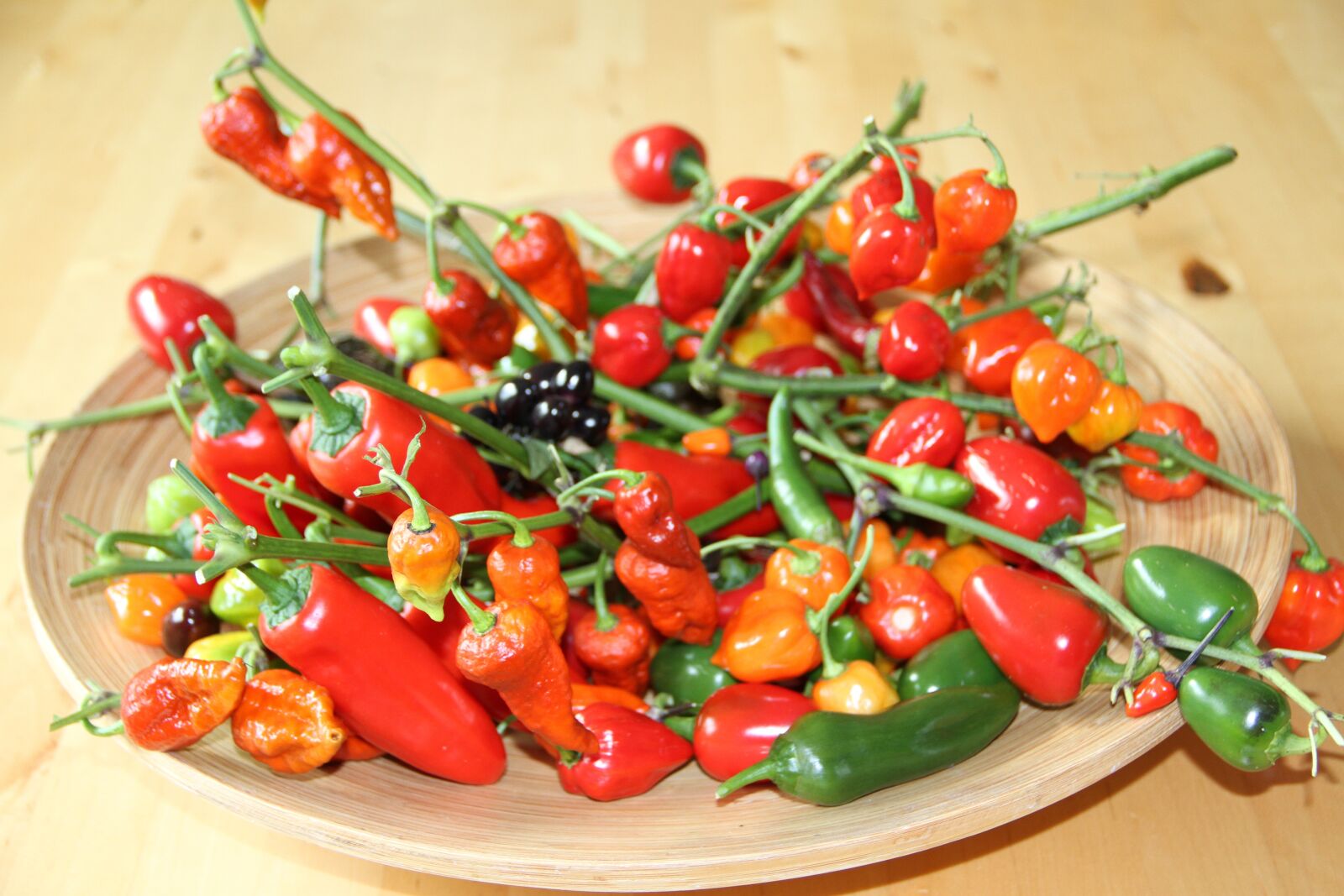 Canon EOS 7D sample photo. Chili, harvest, vegetables photography