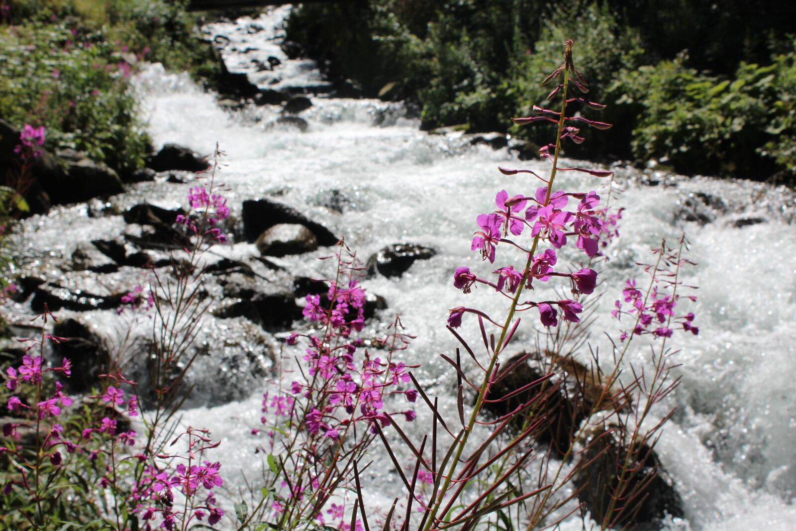 Canon EOS 1200D (EOS Rebel T5 / EOS Kiss X70 / EOS Hi) sample photo. Waterfall, tyrol, ötztal photography