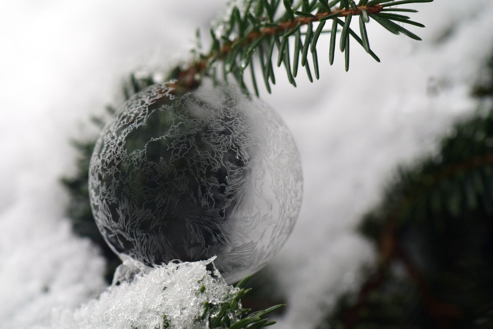Nikon D3300 sample photo. Ball, ice ball, frosty photography